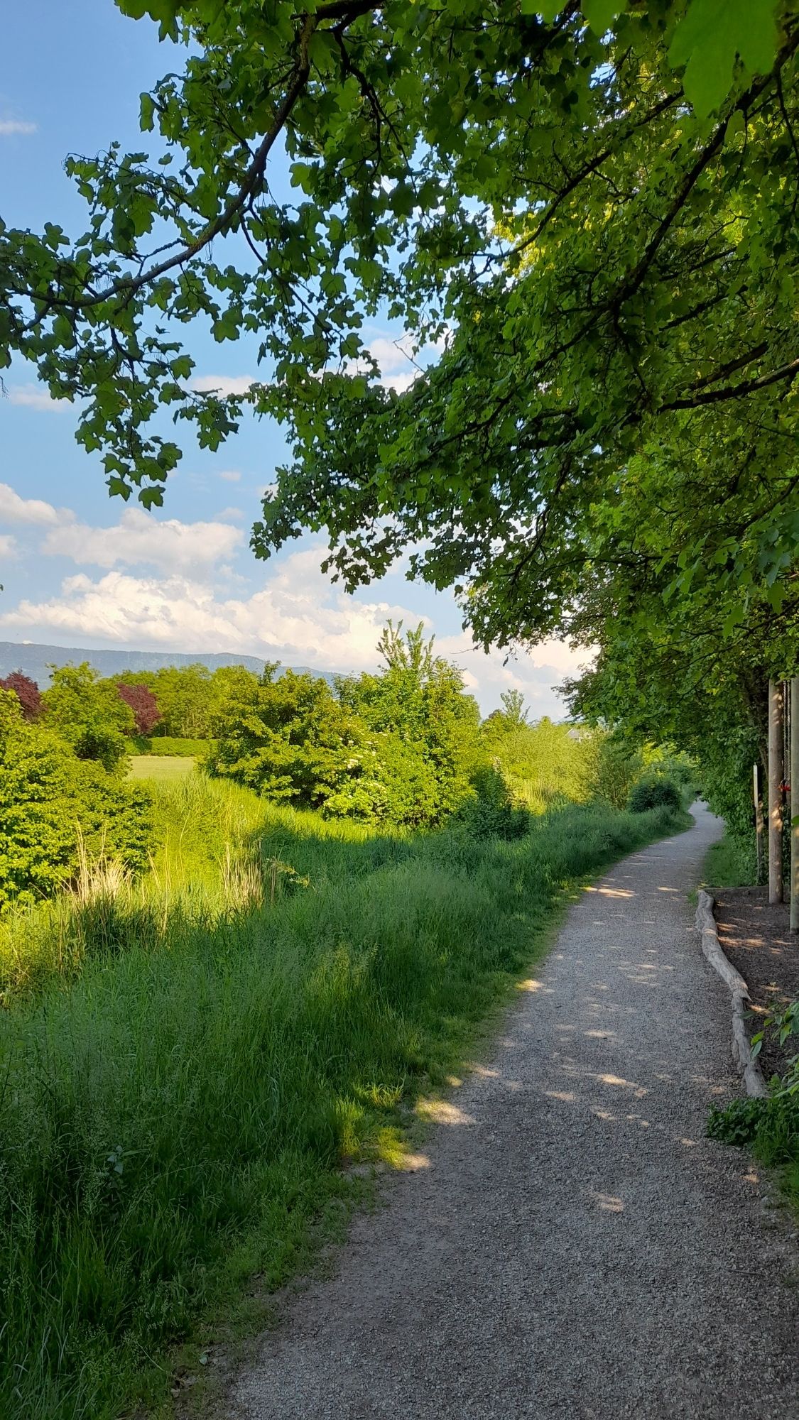 La Seymaz