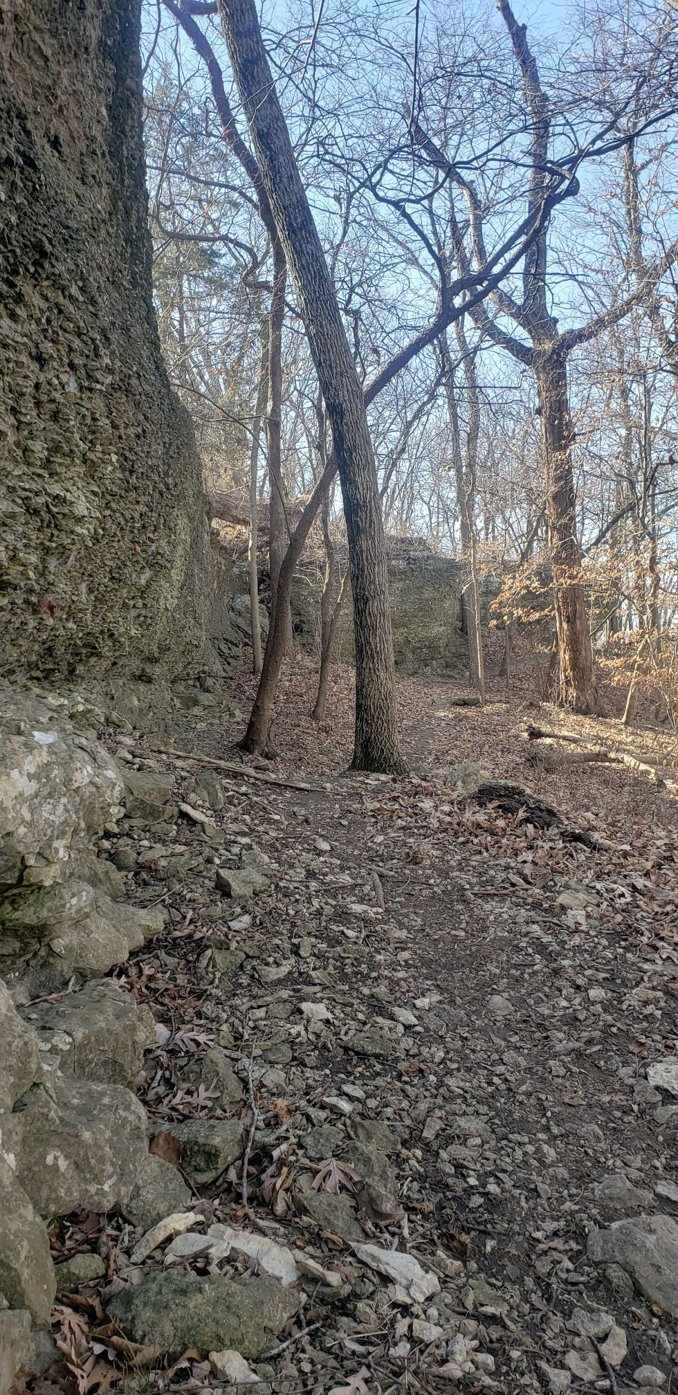 Narrow path beside a tall rock wall in a sunlit, bare forest. - Augie Trail loop