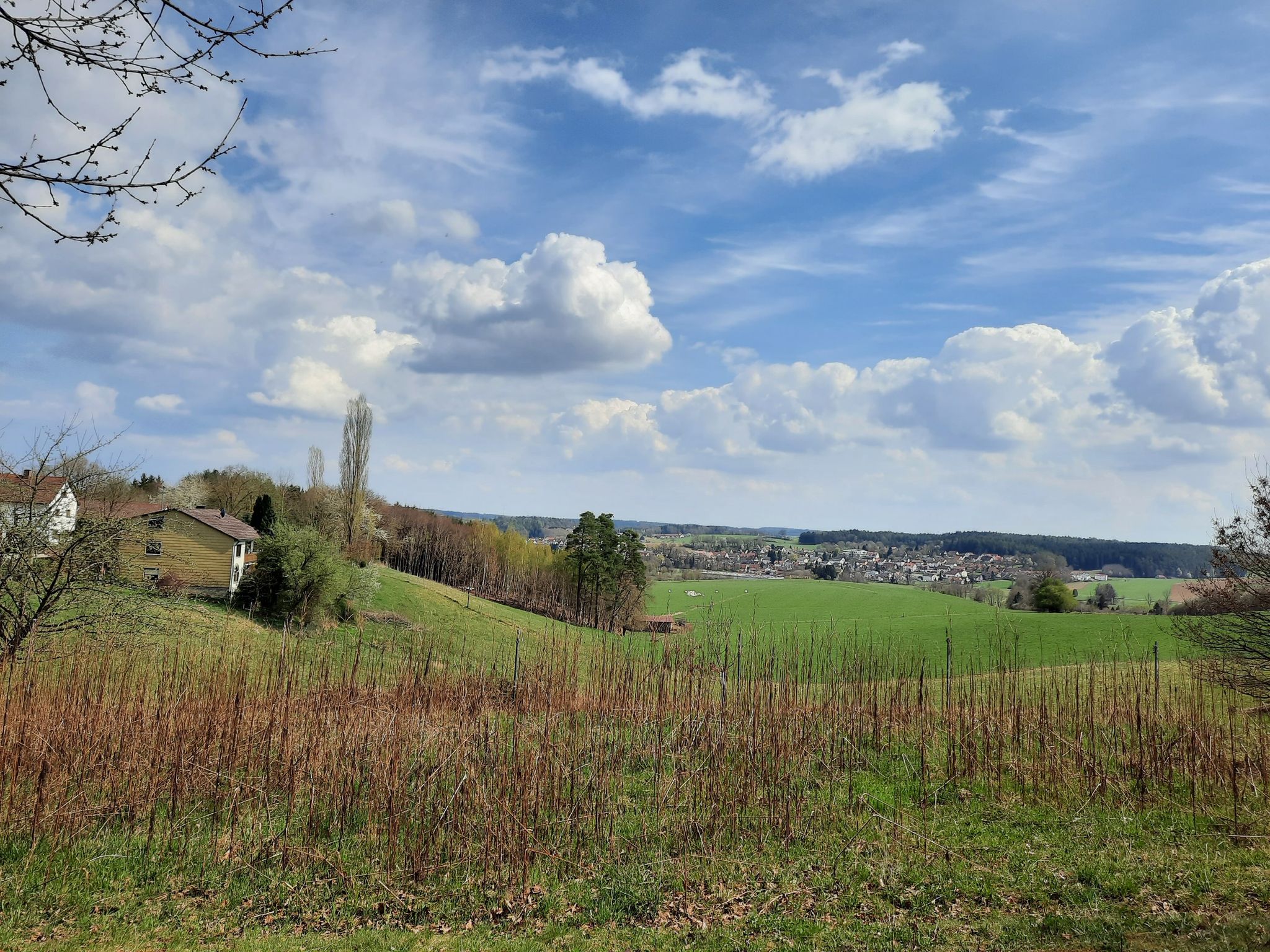 Höflmeier