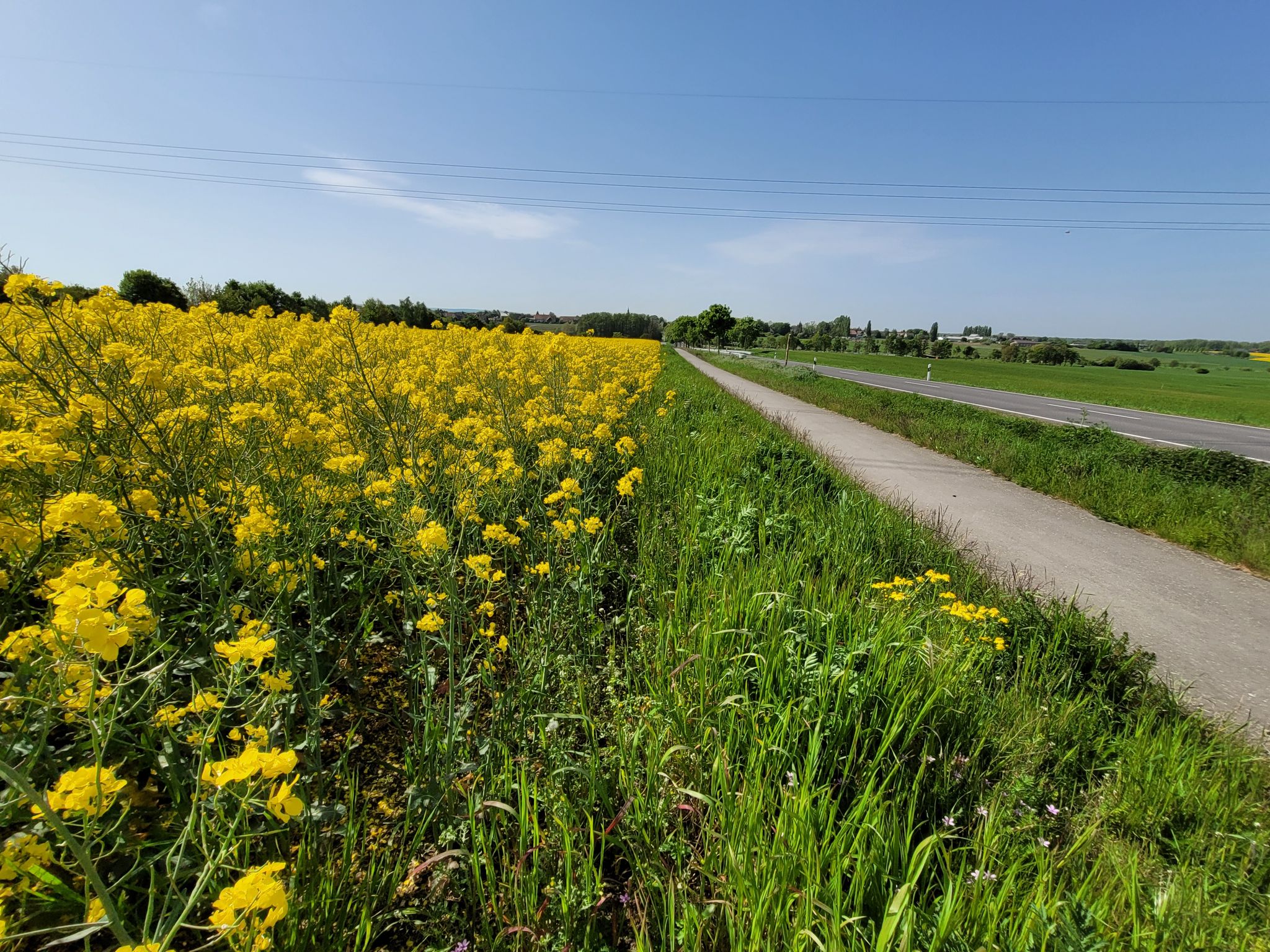 Blick zurück nach Heiligendorf