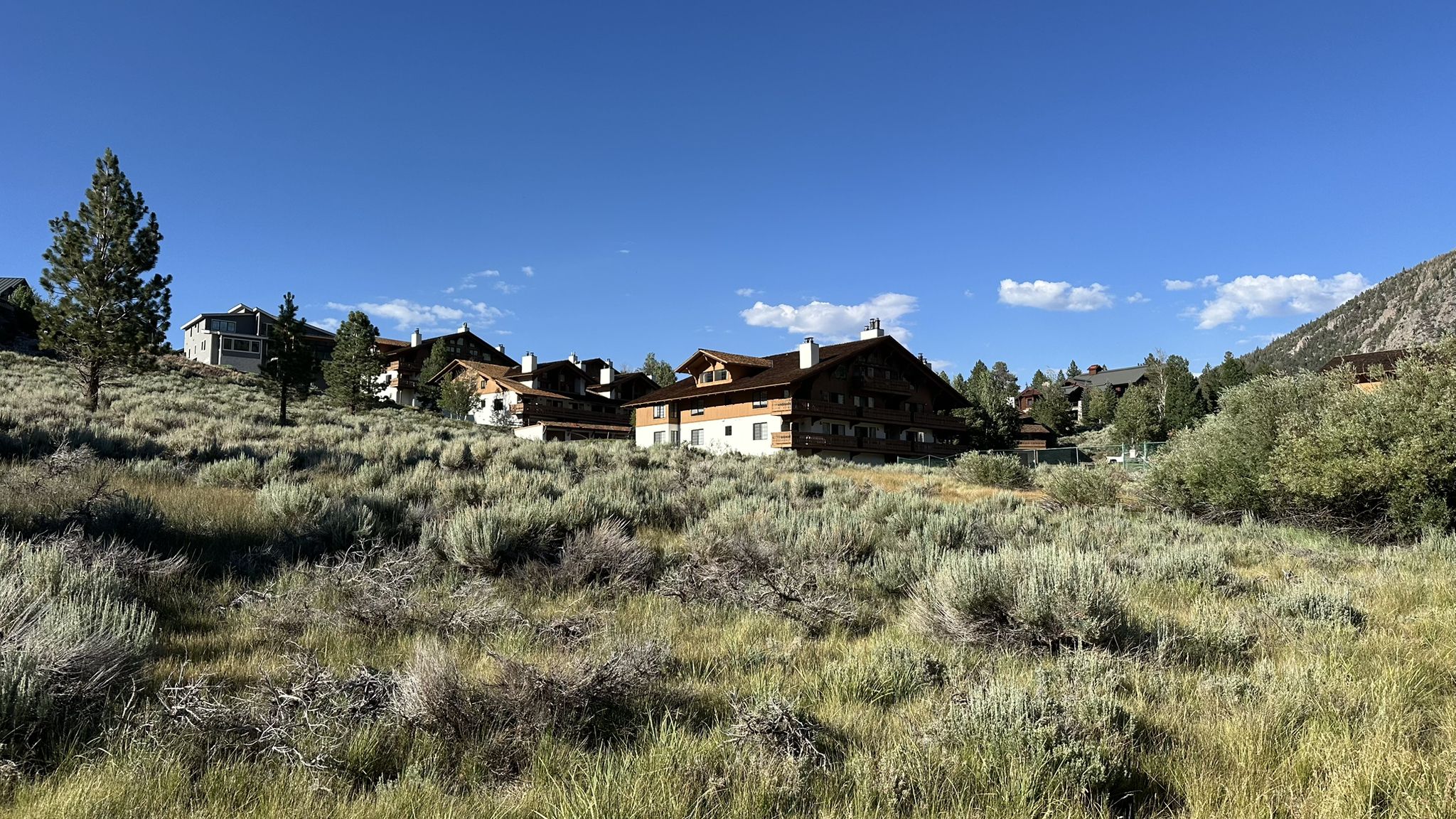 Sunny day over a dry, grassy hillside with several large houses. - Gull Lake – June Lake loop from June Lake