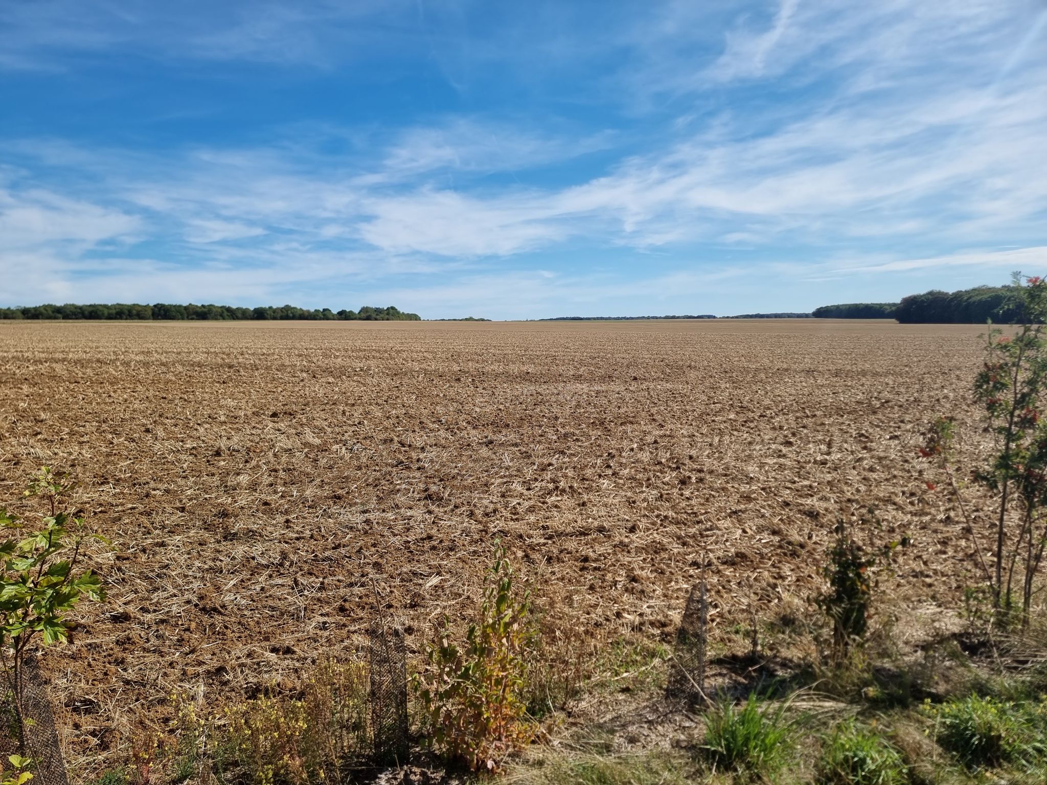 🇳🇱 Flächen-/Agrarland Frankreich