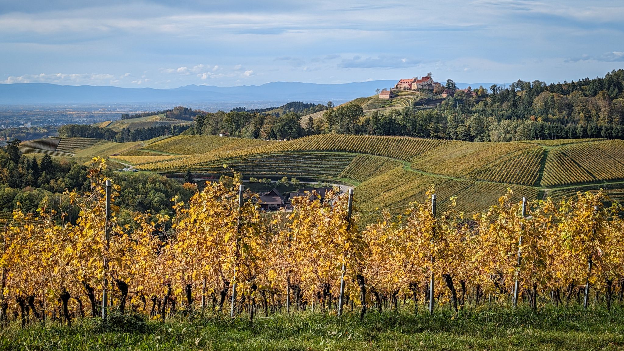 Aussicht auf Schloss Staufenberg beim Panoramahisli