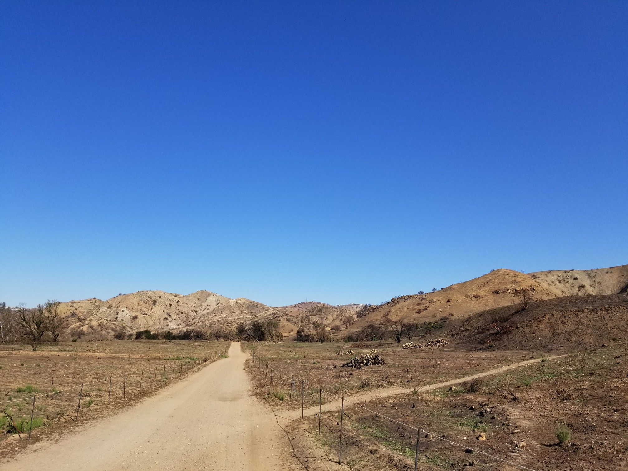 A dirt road stretches through a wide, dry valley under a clear blue sky. - Roadrunner Loop Trail