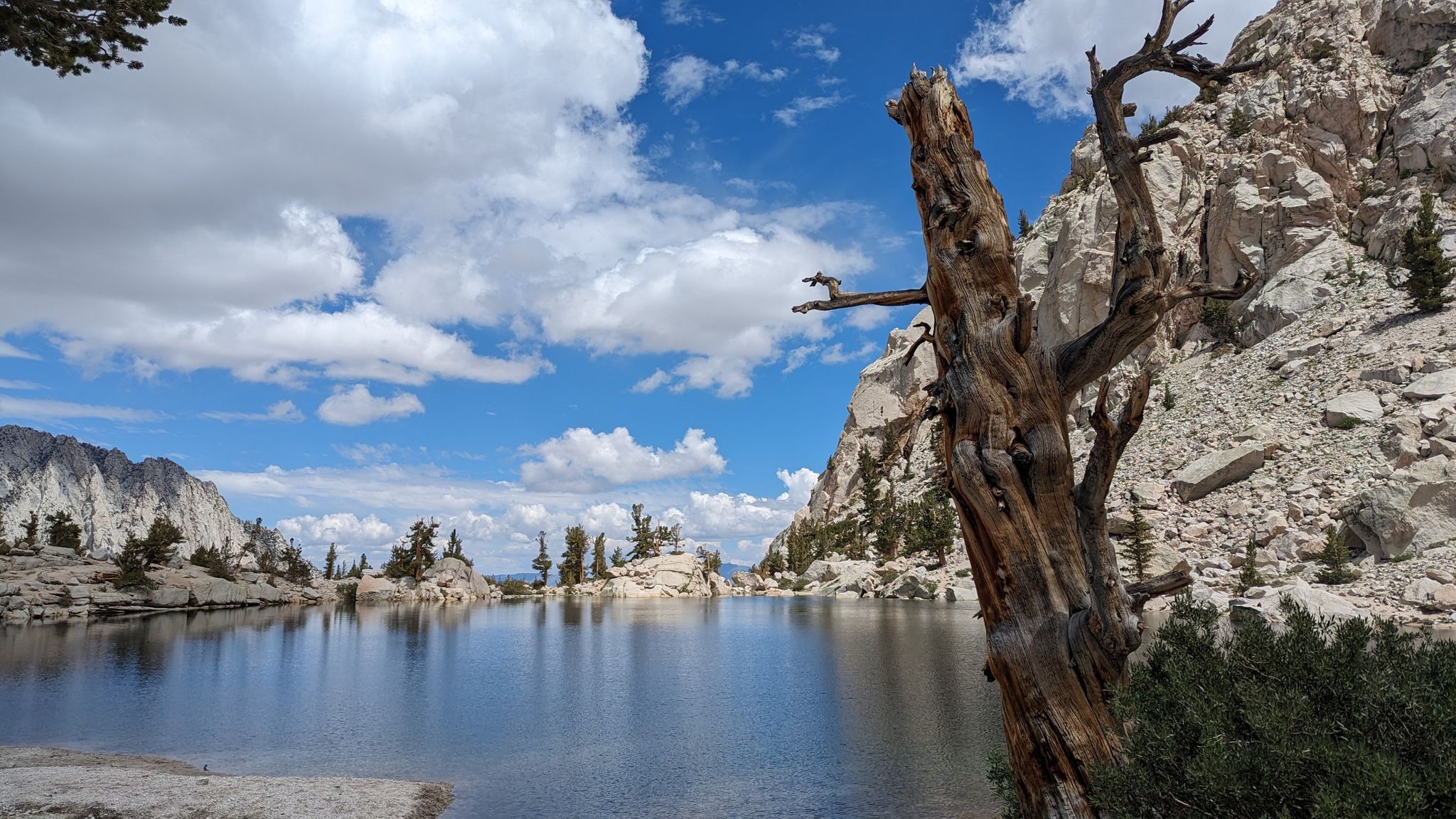 A clear mountain lake reflects a cloudy sky, with a dead tree in foreground. - Mount Whitney Trail to Lone Pine Lake
