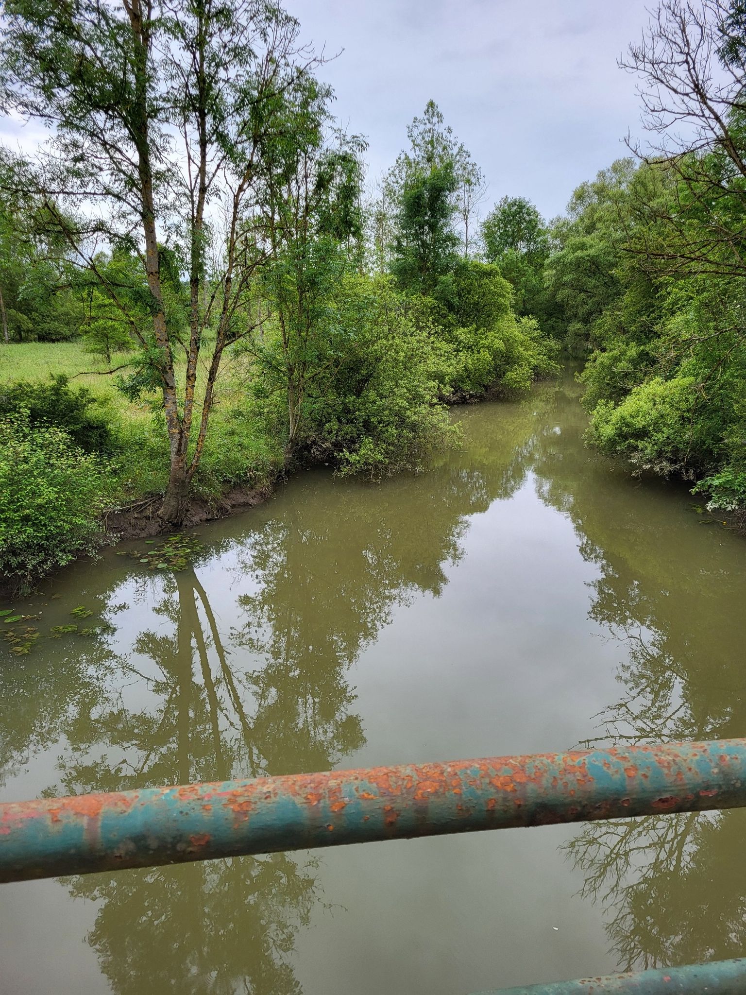 Nied Francaise (Les Etangs)