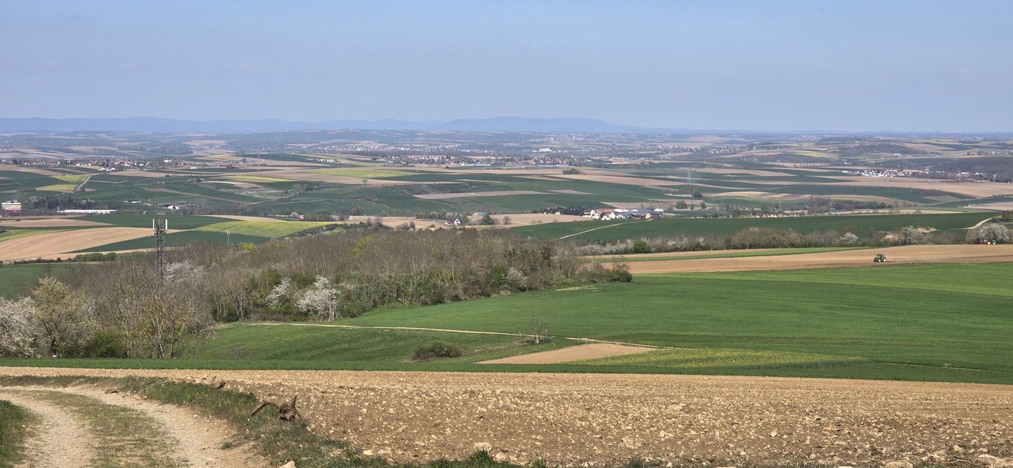 panorama
