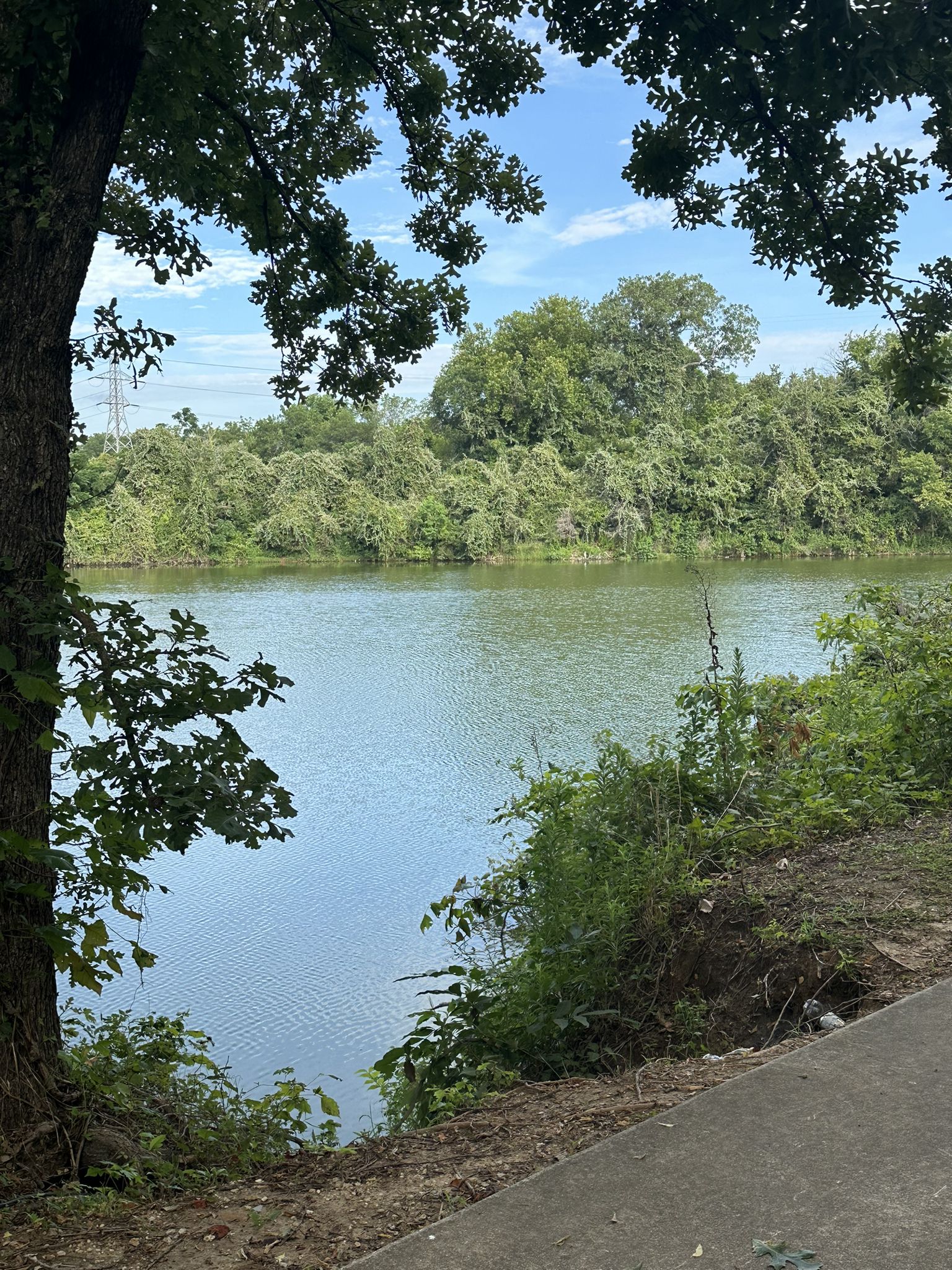 Lush green trees frame a calm body of water under a bright sky. - Trinity Forest Trail