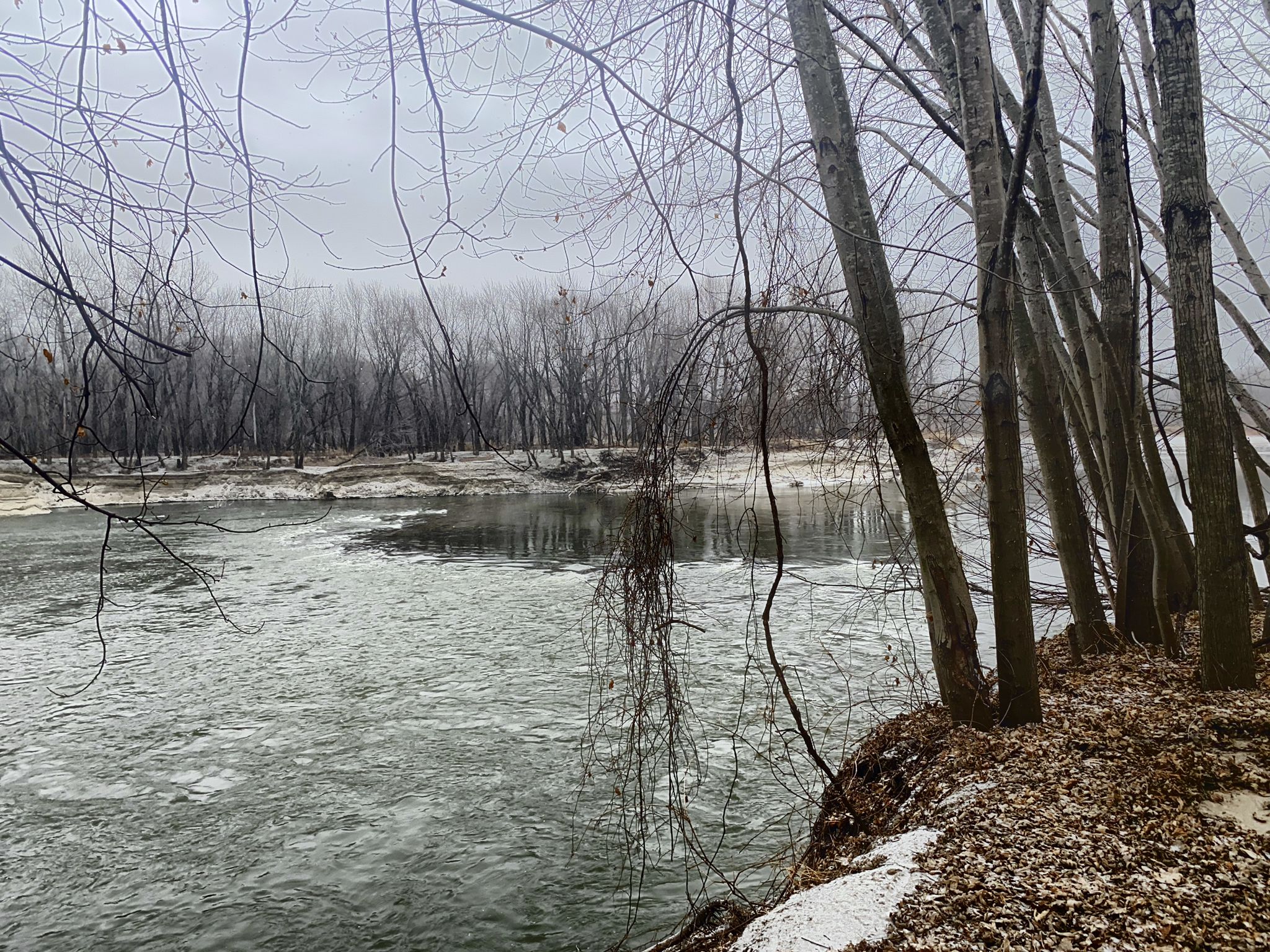 Icy river flows past bare trees and snowy banks on an overcast winter day. - Rapids Lake Trail