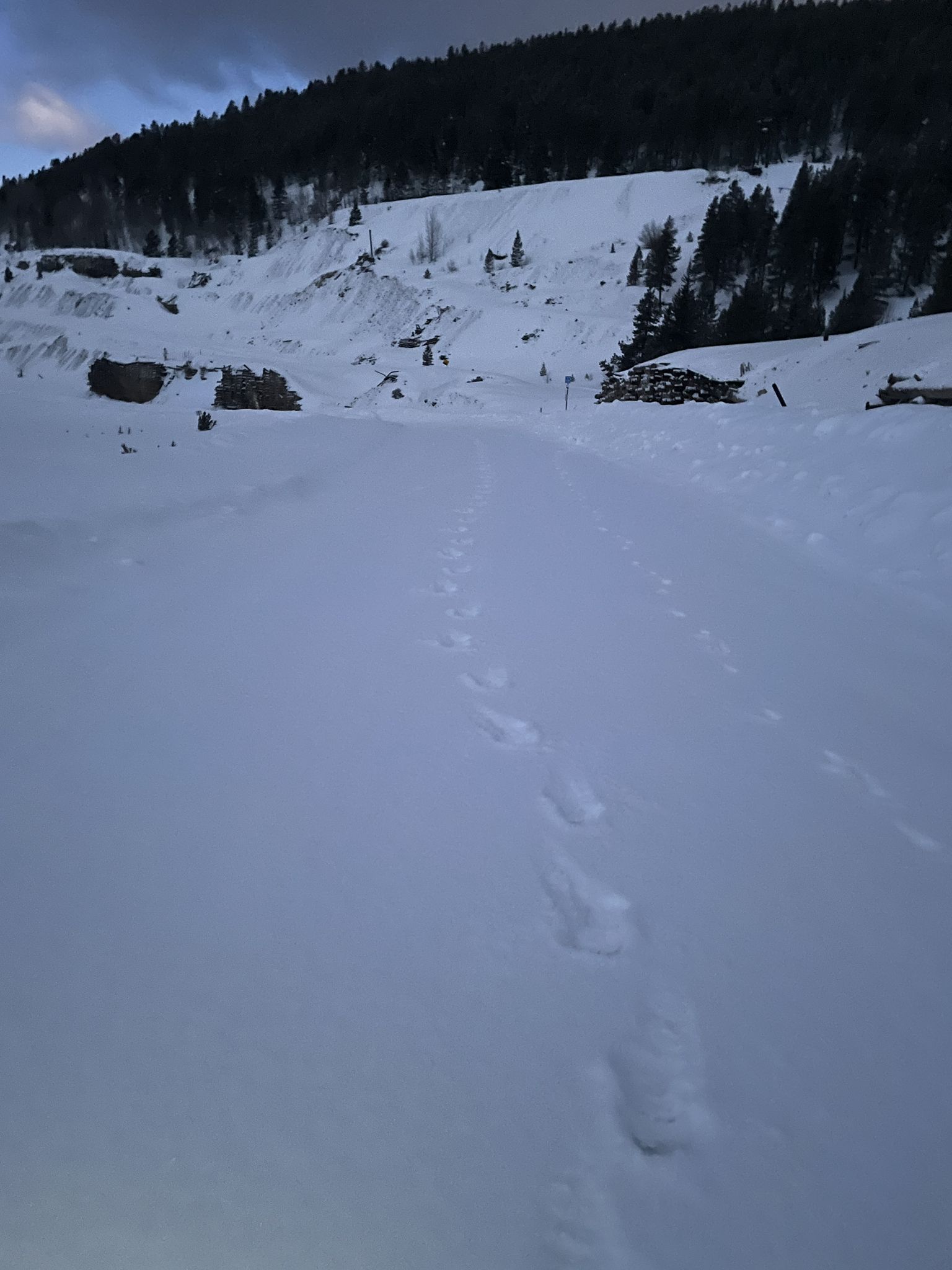 Footprints in deep snow lead towards a dark forest under cloudy skies. - Nugget Gulch – Matchless Mine loop from Leadville