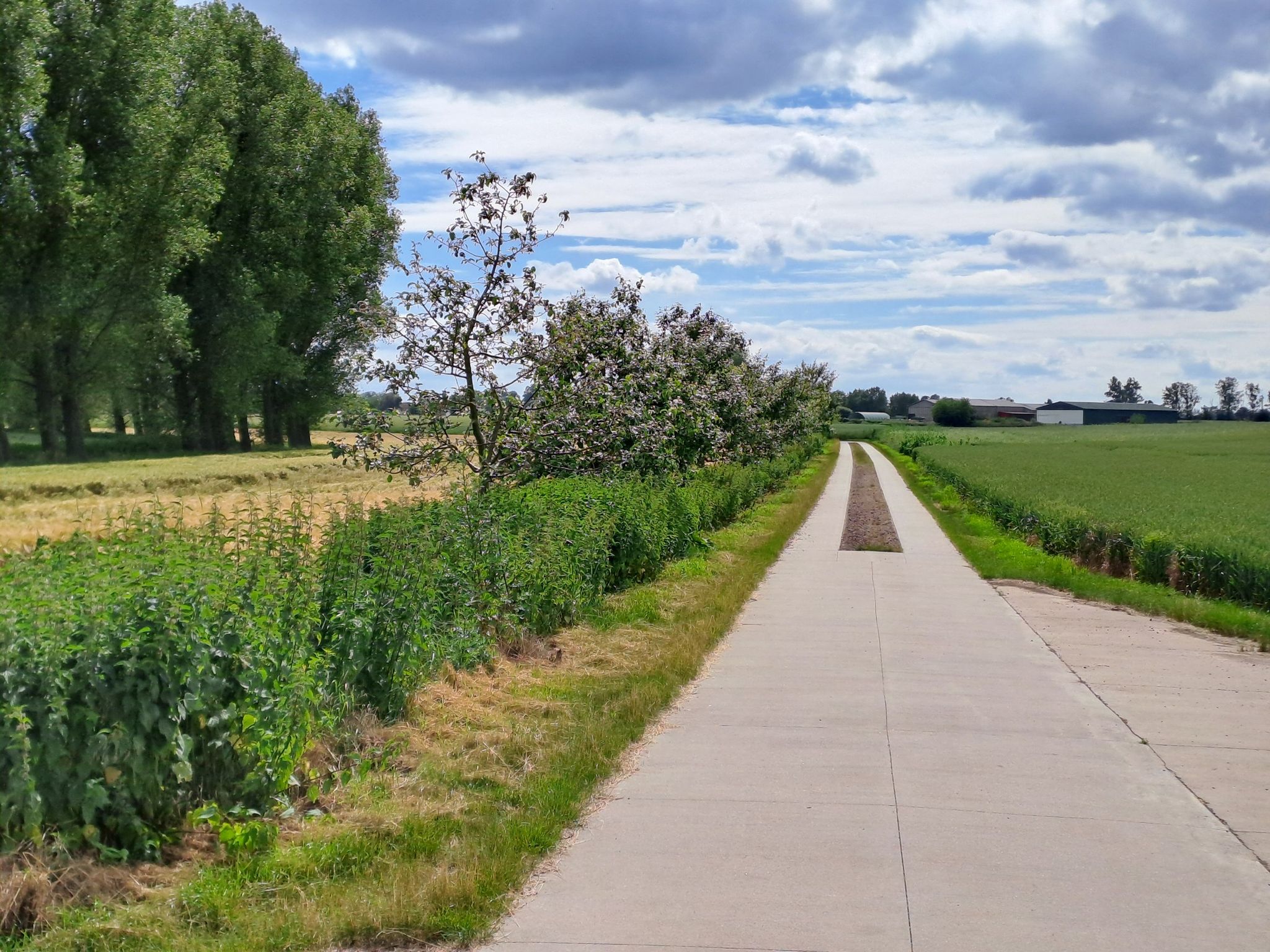 Olbe-Hopfenteich-Weg
