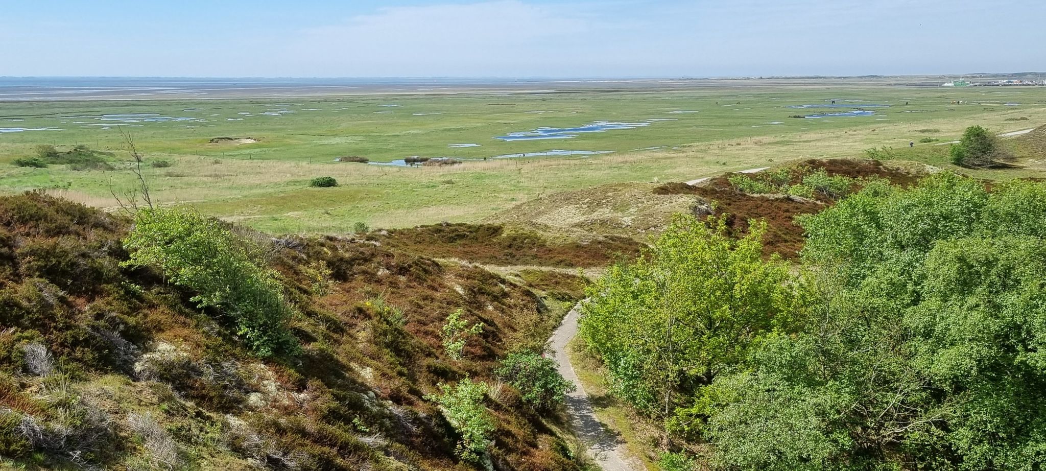 Blick von der Kohhukkdüne