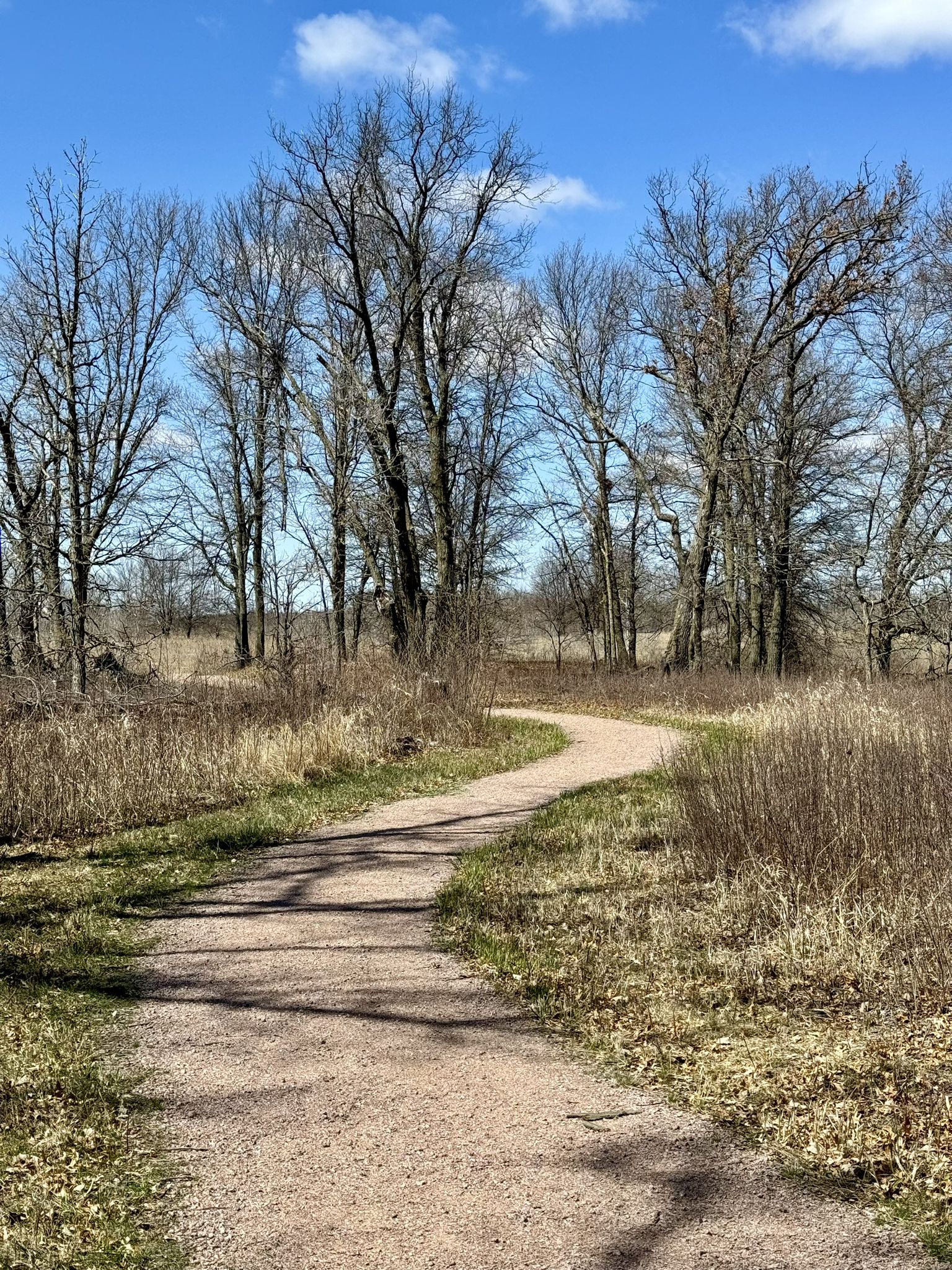 A winding dirt path through a field with bare trees under a blue sky. - Old School House Loop Trail