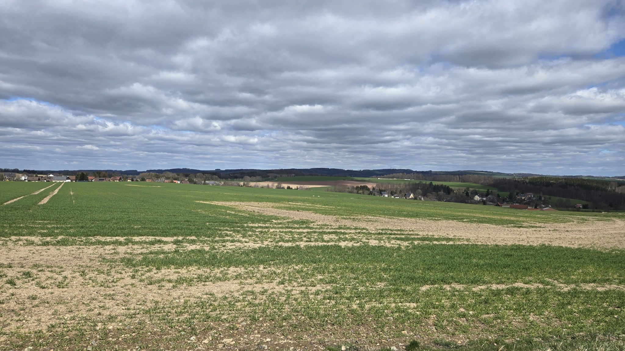 Ausblick