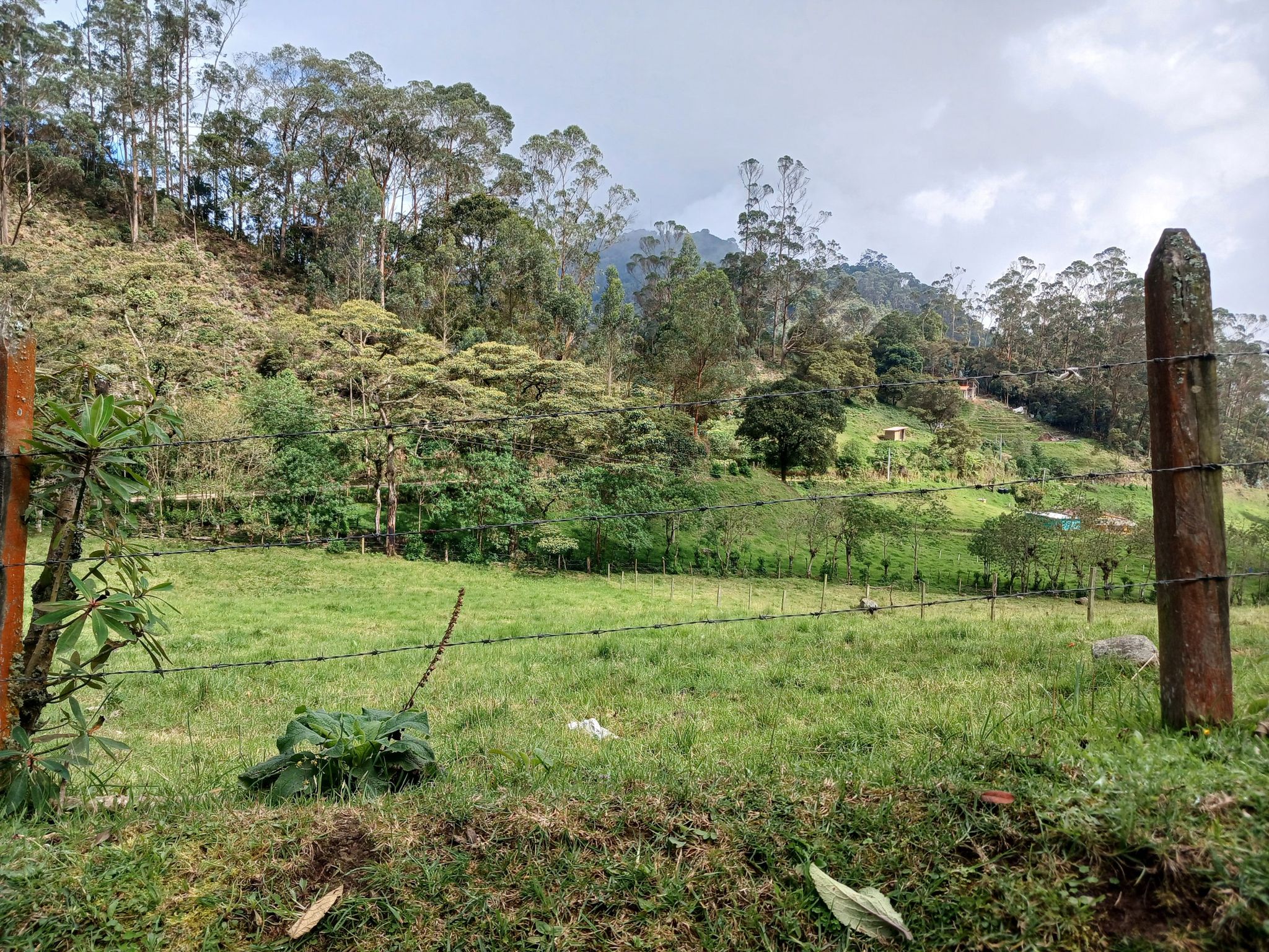 paisaje la cascada