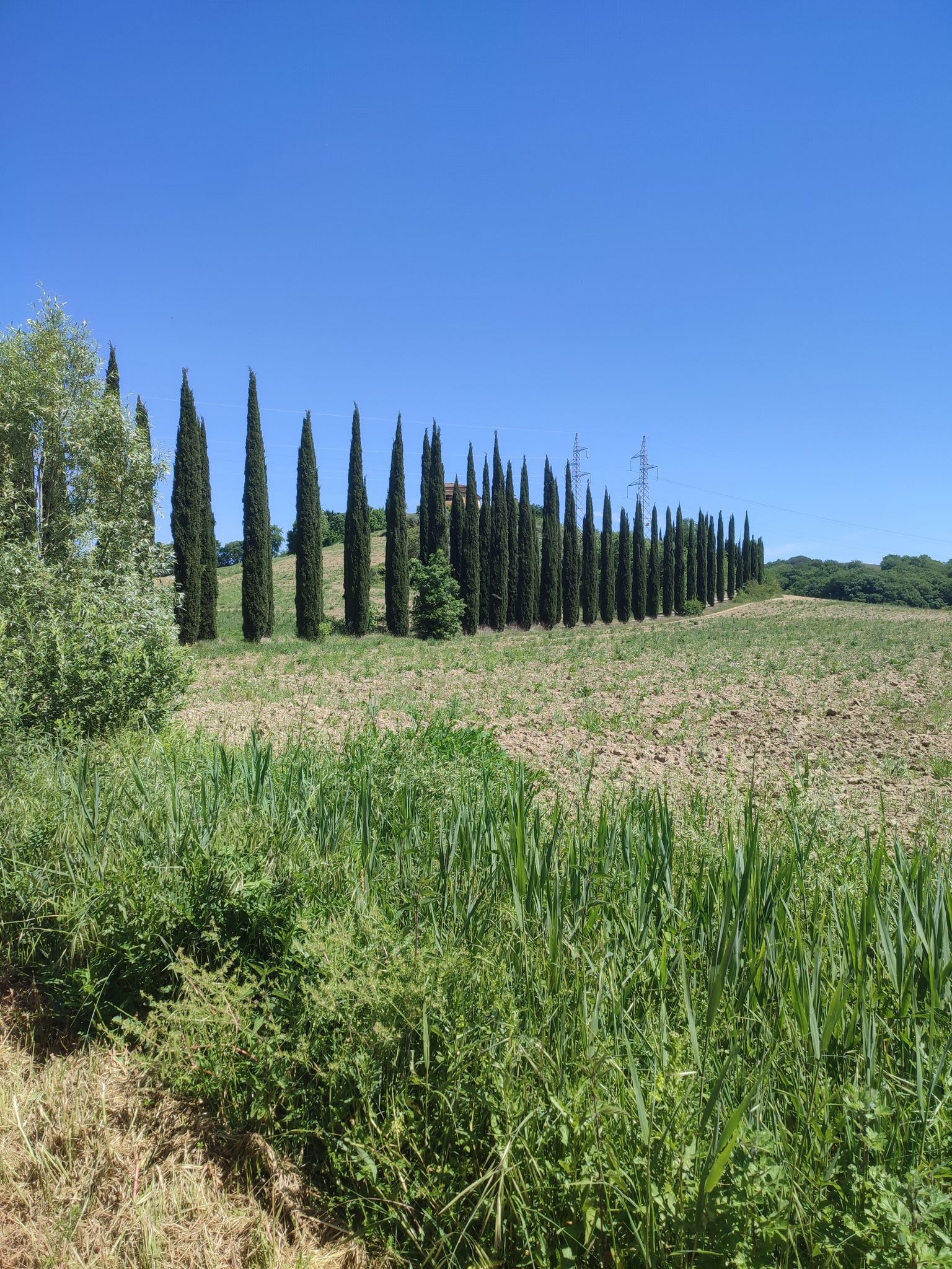 Toscana Tag 1-11