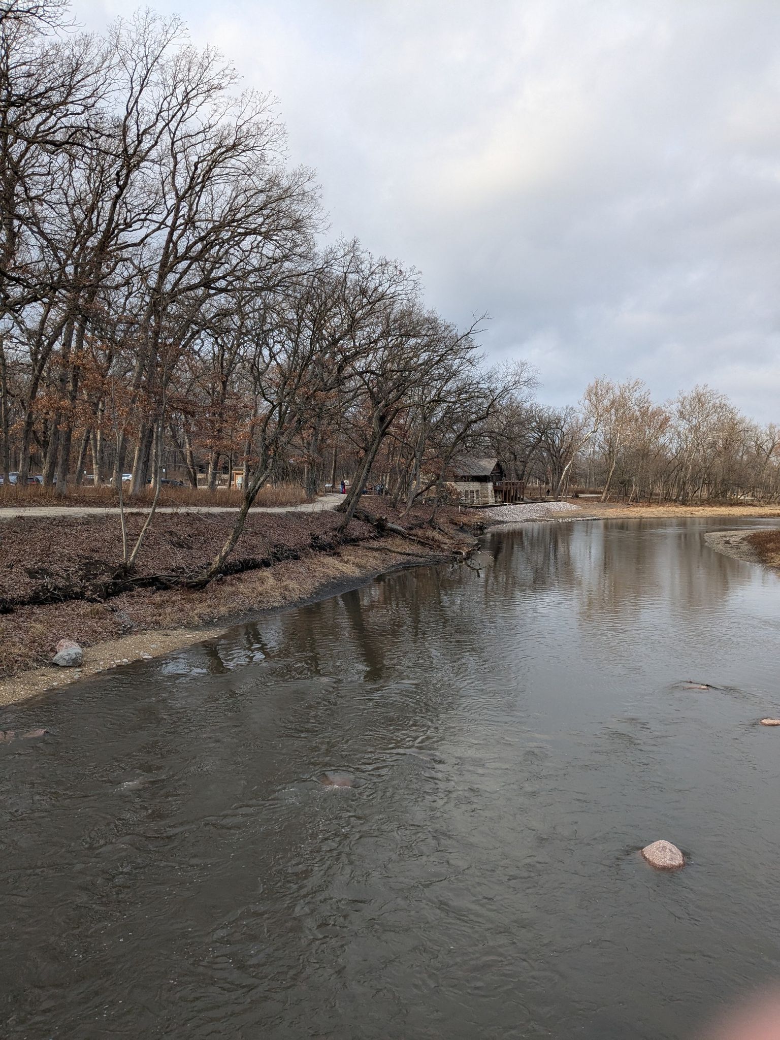 A river flows past bare trees and a small building under a cloudy sky. - North Island – Flat Bridge loop from Oak Brook