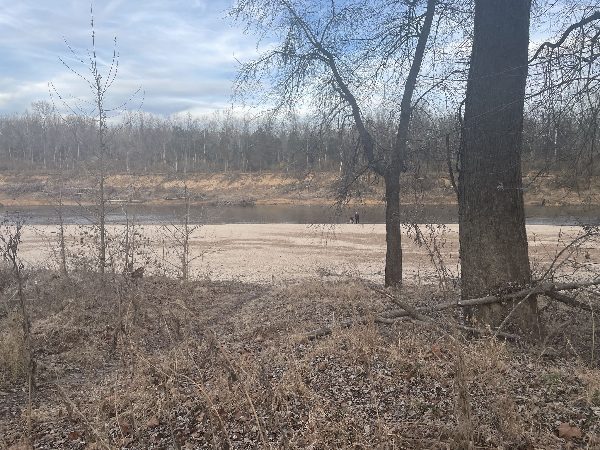 A river flows past a sandy bank and dry grass under an overcast sky. - Riverscene Trail