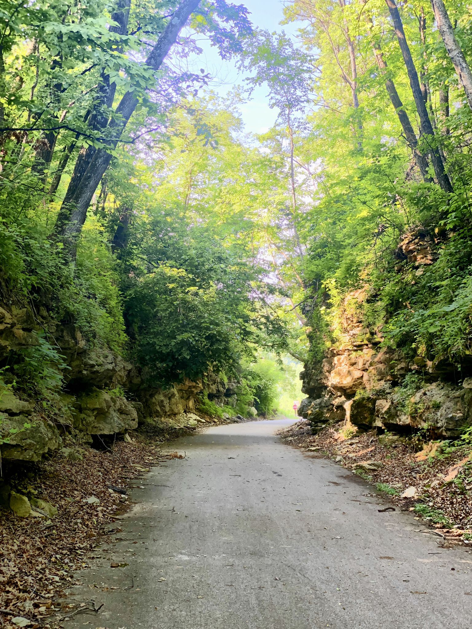 Paved path winding between tall, green, rocky cliffs with dappled sunlight. - Root River State Trail loop from Lanesboro