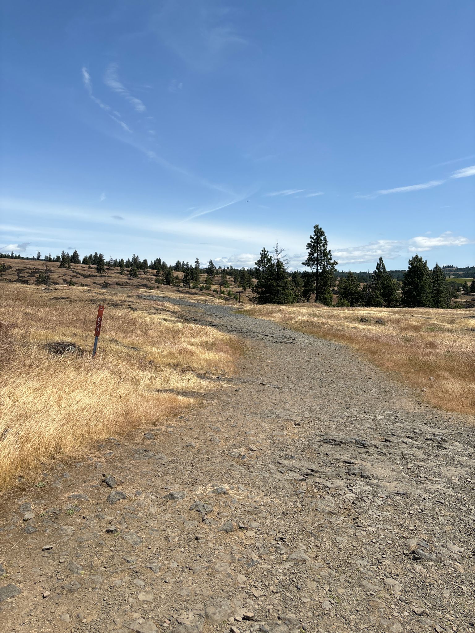 A dirt path winds through dry grassy hills under a bright blue sky. - Catherine Creek Arch Loop
