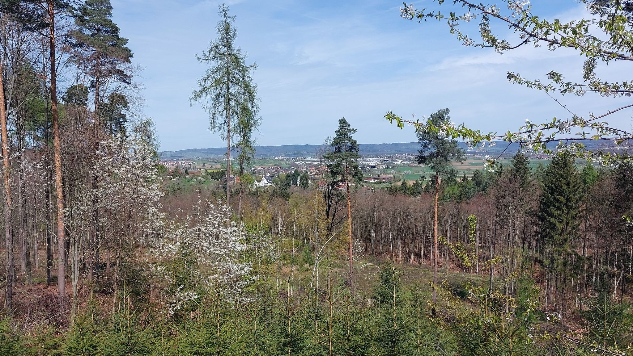 Blick von der Auffahrt zum Hörnle