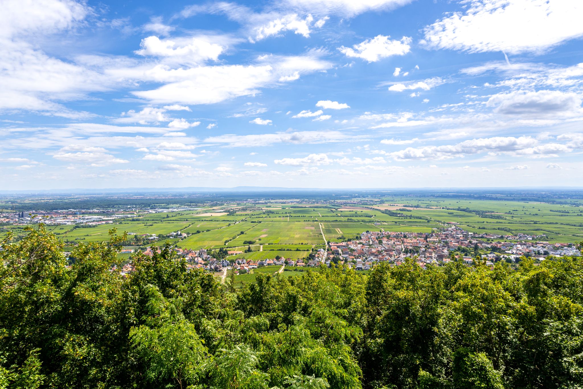 Ausblick vom Hambacher Schloss auf Hambach und Diedesfeld