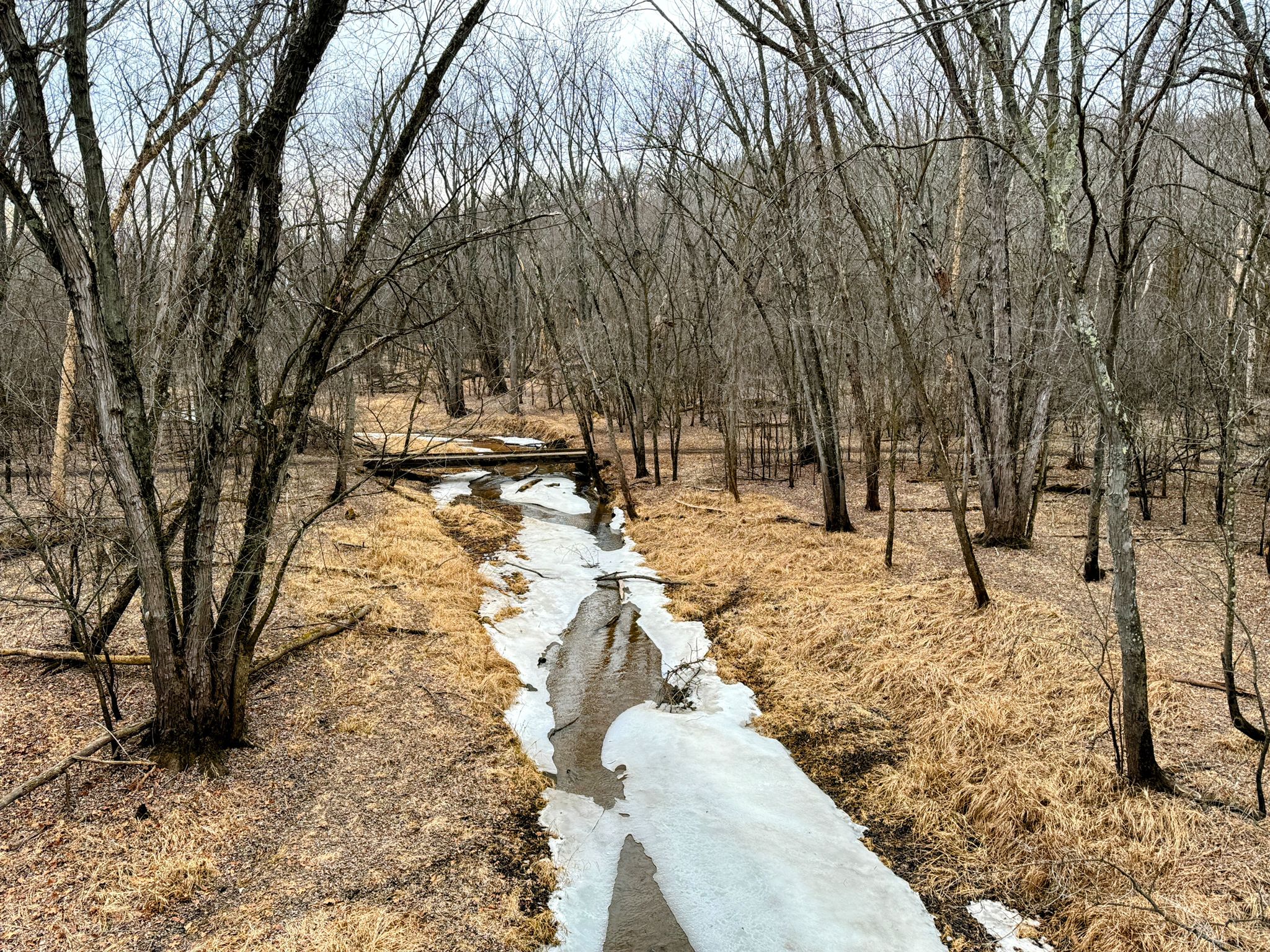 A stream with snow and ice flows through a bare winter forest. - Viewpoint – Saint Croix River Viewpoint loop from Afton State Park