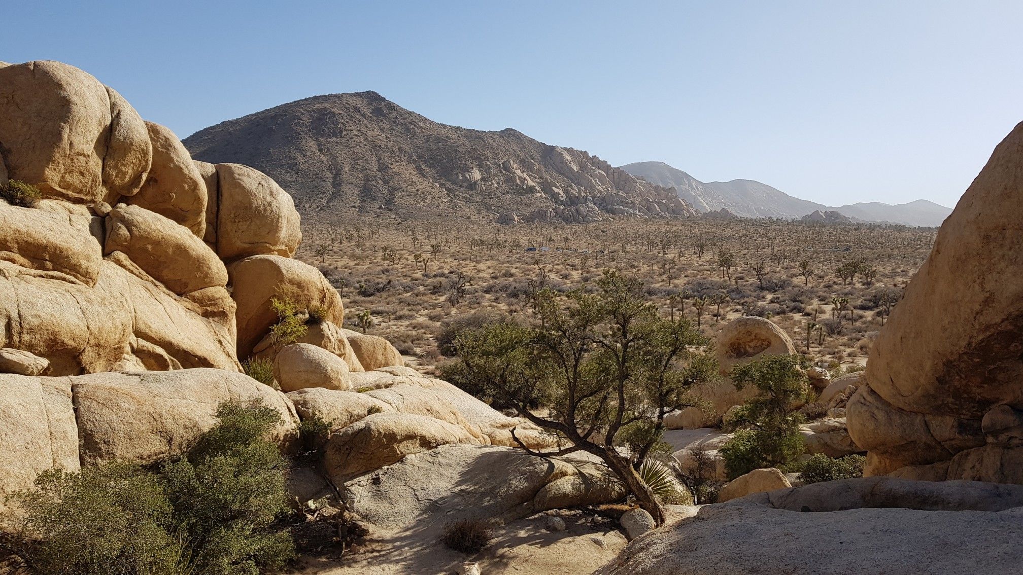 Expansive desert view with boulders, sparse trees, and distant mountains. - Bighorn Pass Road – Queen Valley Trails loop from Echo Cove South Face
