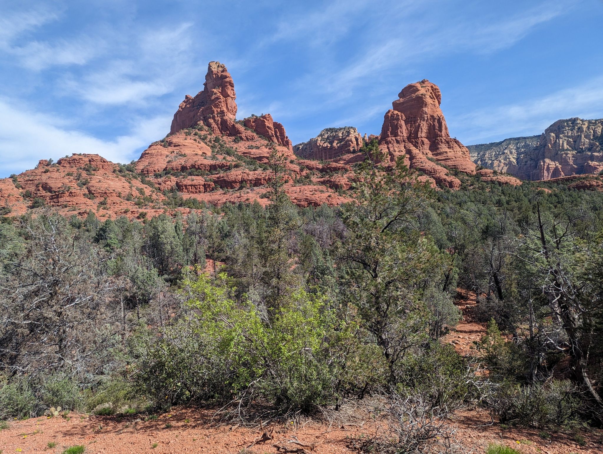 Towering red rock formations rise above green trees under a blue sky. - Crusty, Grand Central, Teacup, & Adobe Jack Trail loop — Coconino National Forest