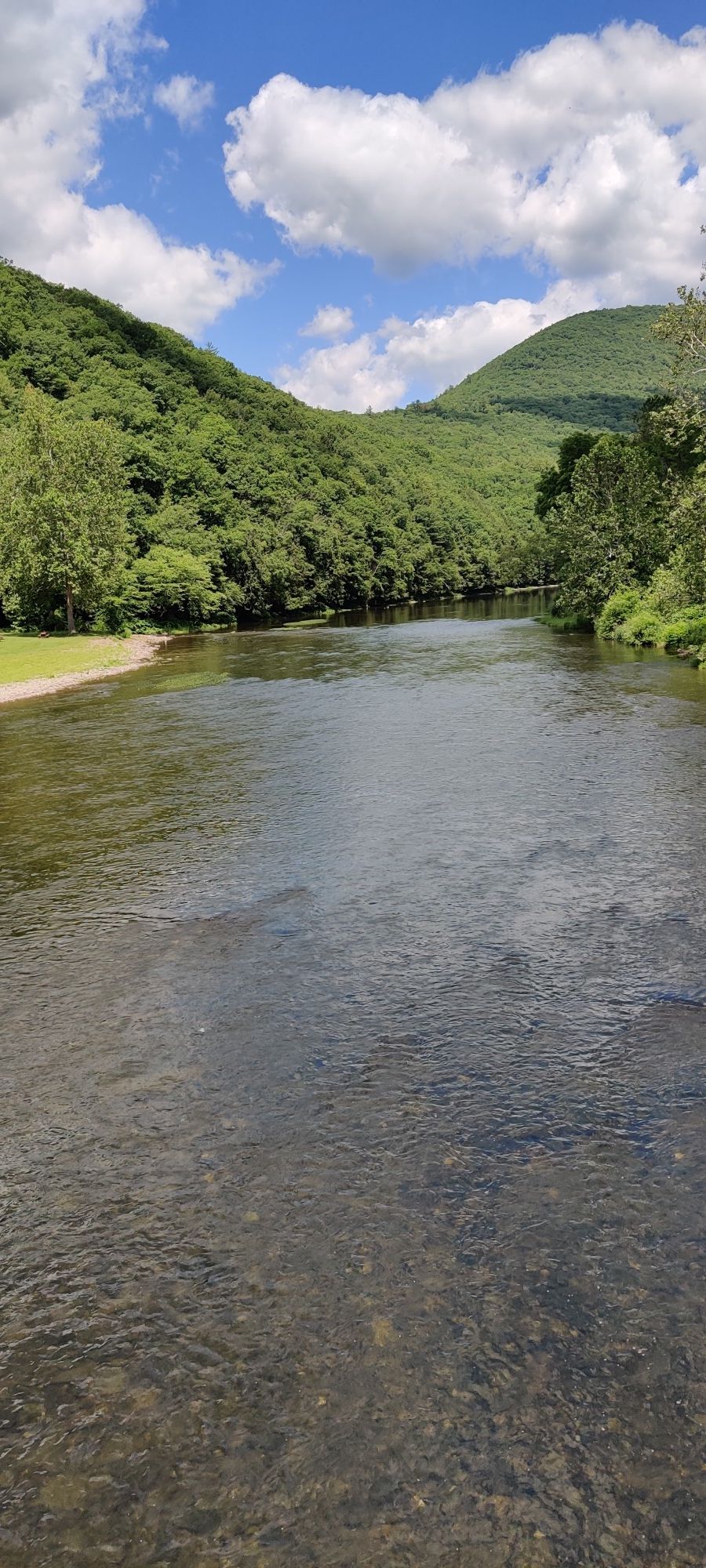 Pine Creek Rail Trail
