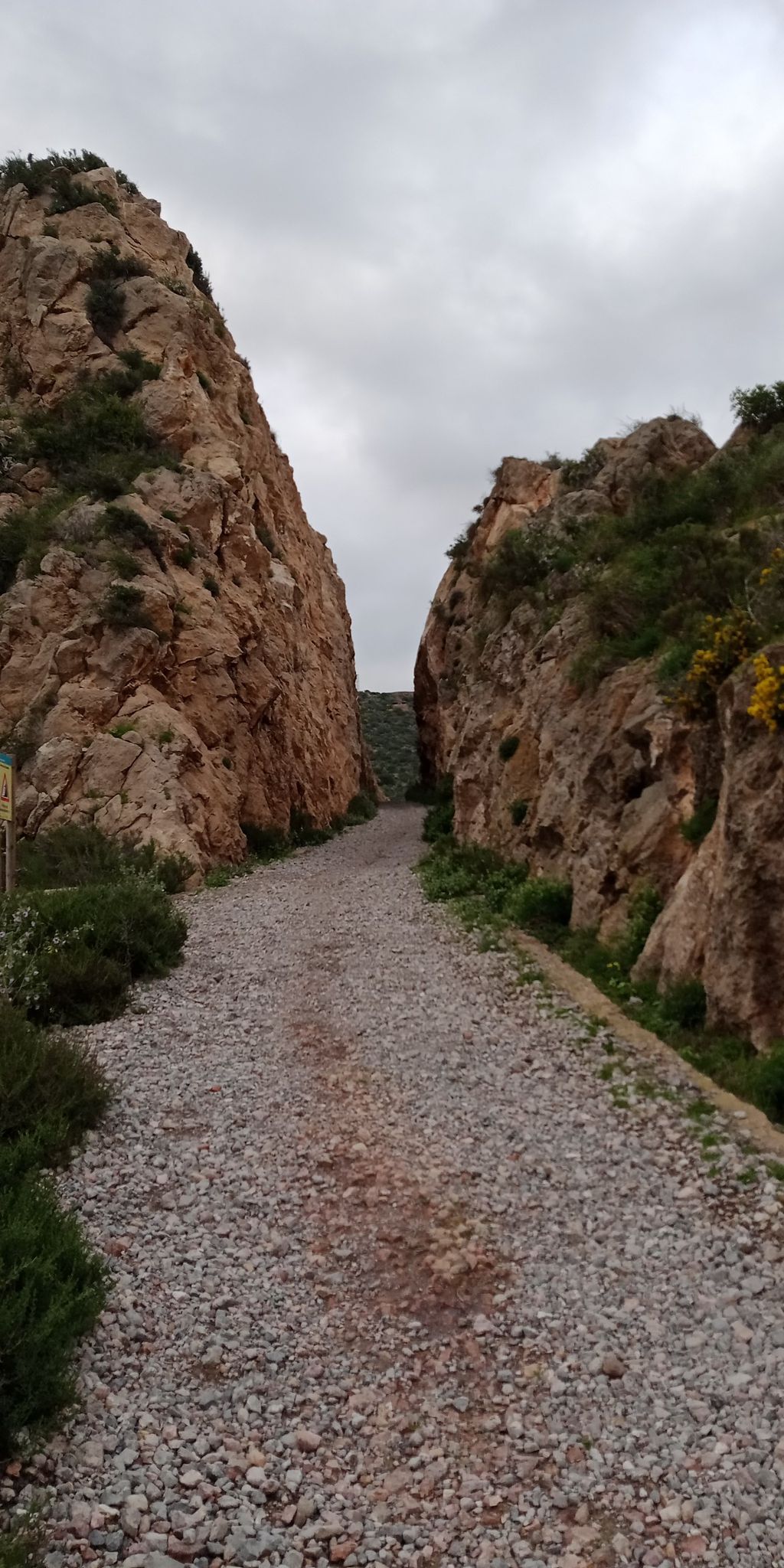 Camino de la batería de Conejos