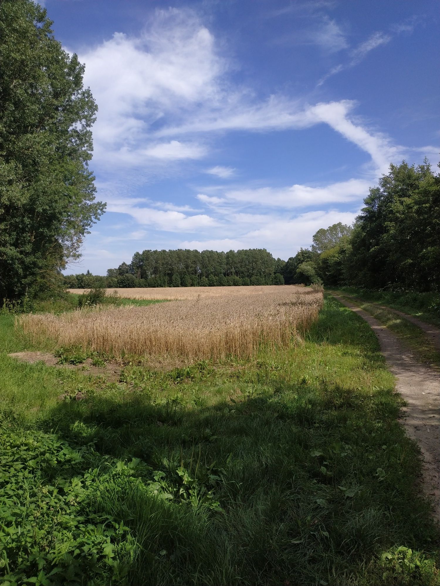 chemin