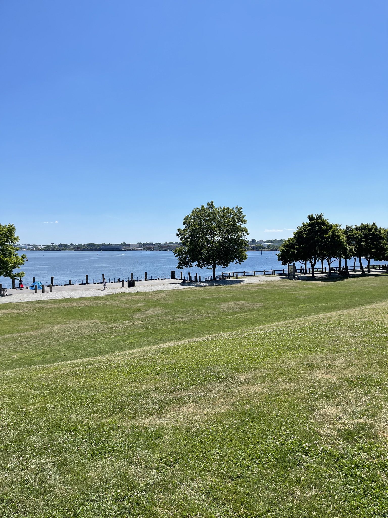 A sunny grassy hill slopes to a waterfront with trees and distant people. - Oakland Beach to India Point Park