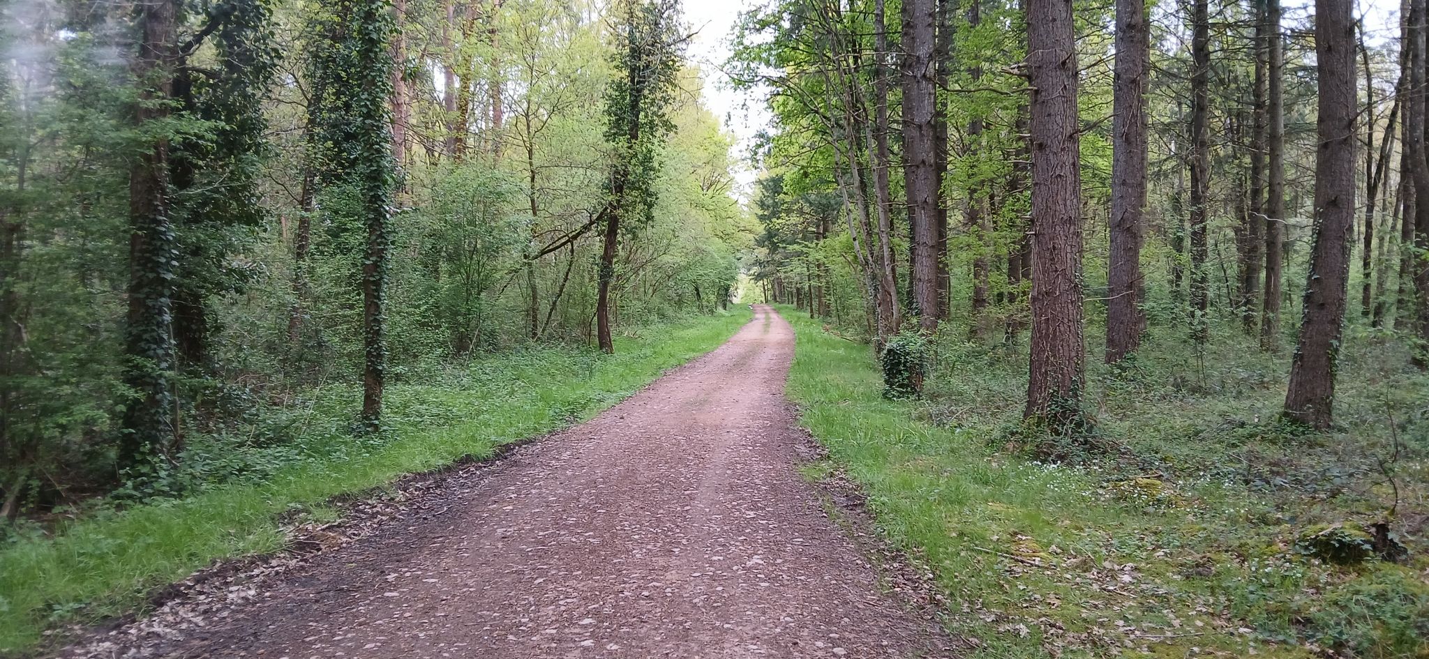 Allée des Communaux de Coursage.