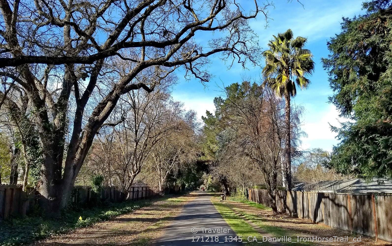 Sunny paved path lined with bare trees, a person walks in the distance. - Iron Horse Trail: Danville to Alamo