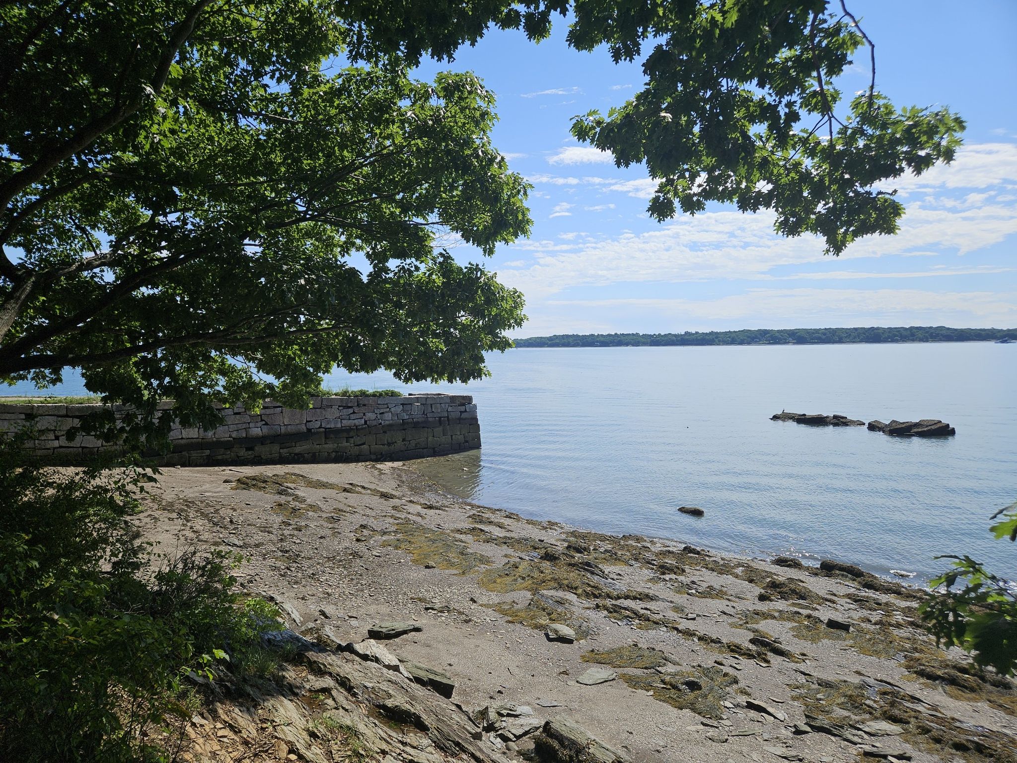 Sunny rocky beach with a stone wall, calm water, and green trees overhead. - Mackworth Island Trail
