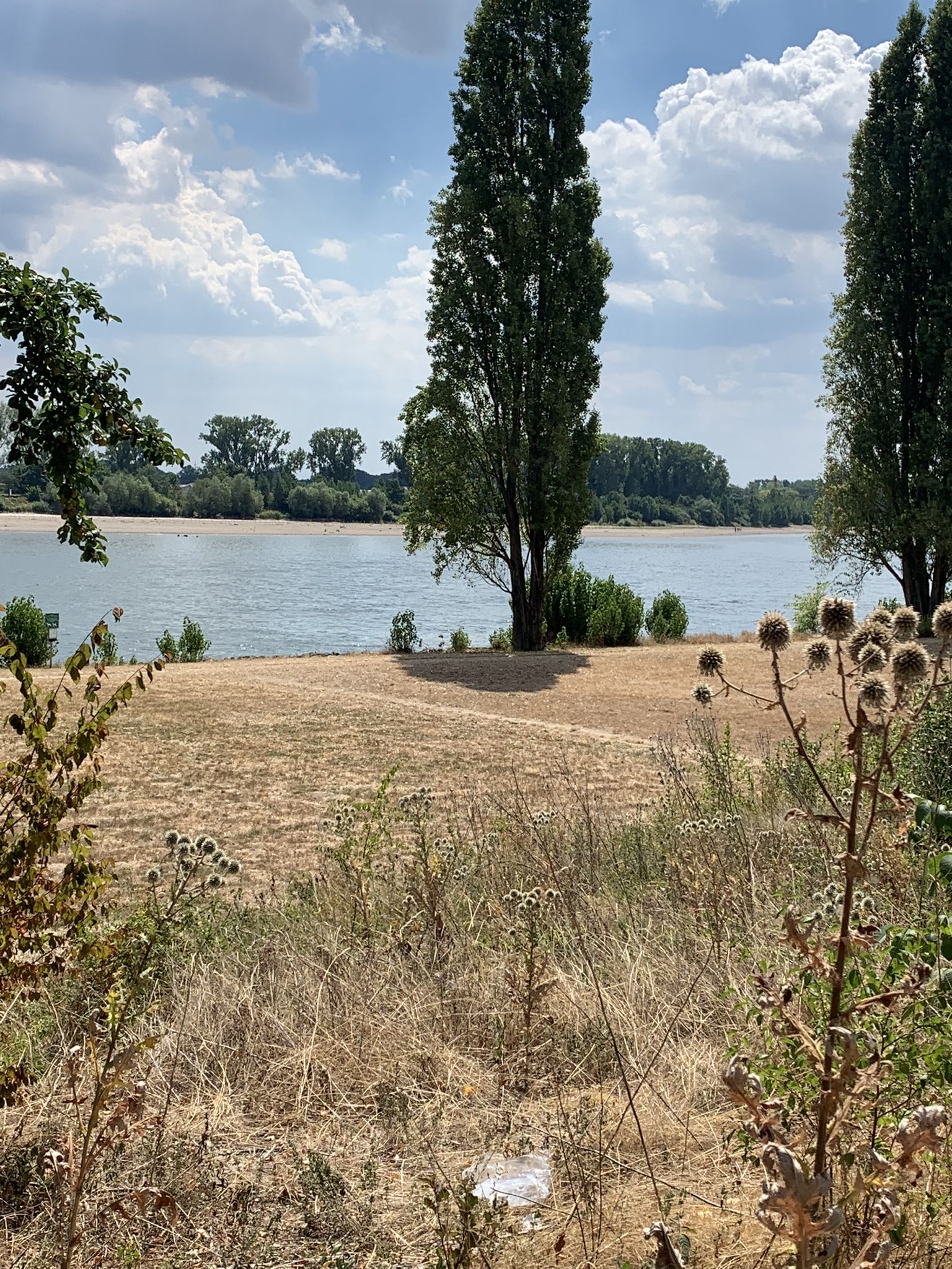 Der Rhein: Niedrigwasser, Trockenheit und Strände