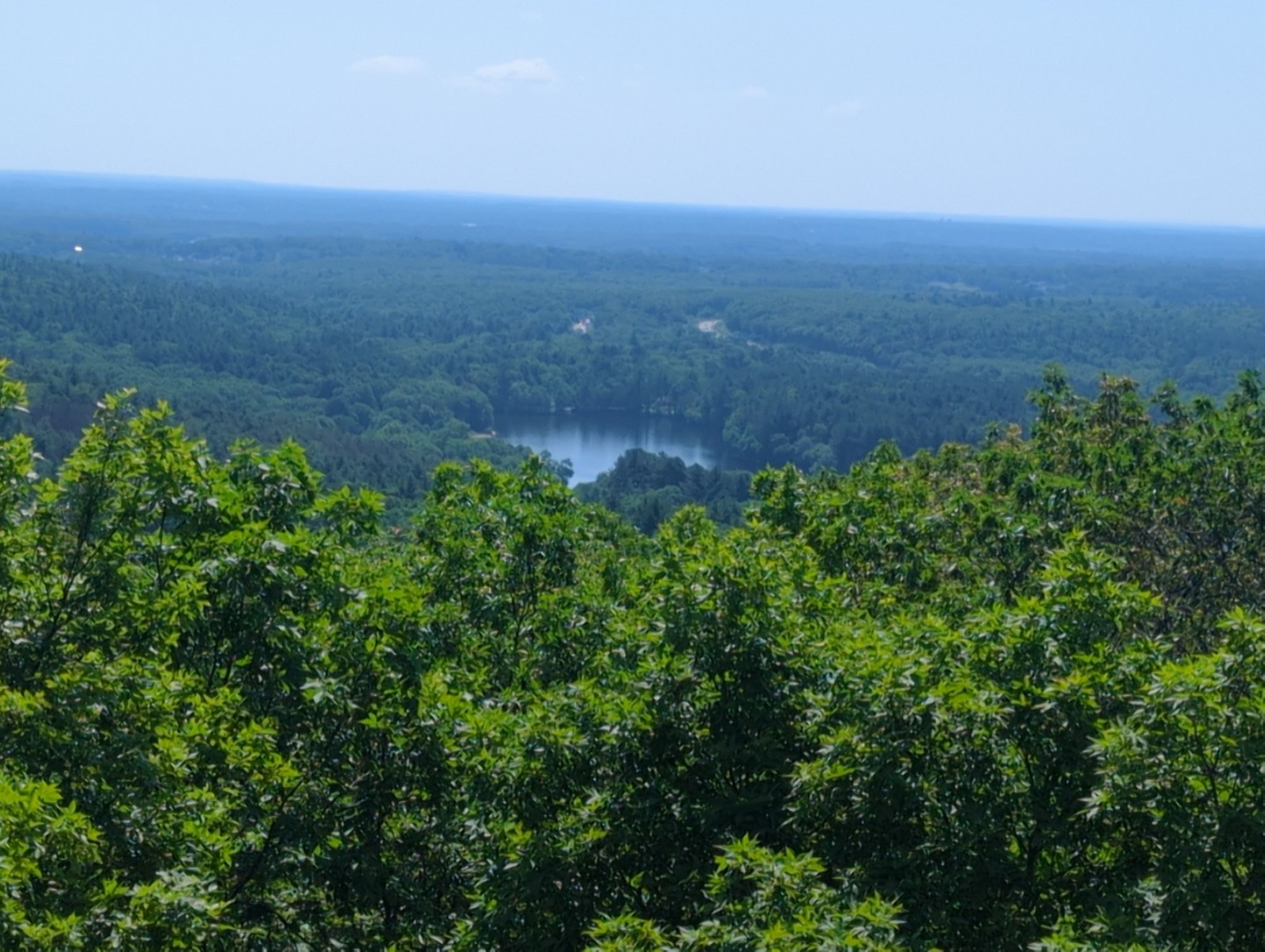 A small lake nestled within an expansive green forest under a clear sky. - Blue Hills Skyline Trail