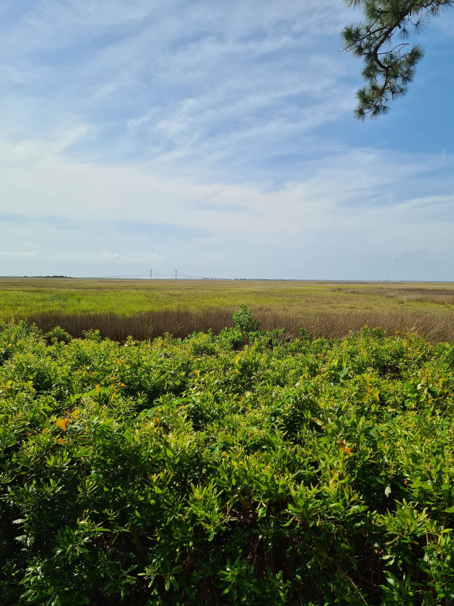 An expansive green marshland under a bright blue sky with scattered clouds. - The Horton House loop from Fishing Center Parking