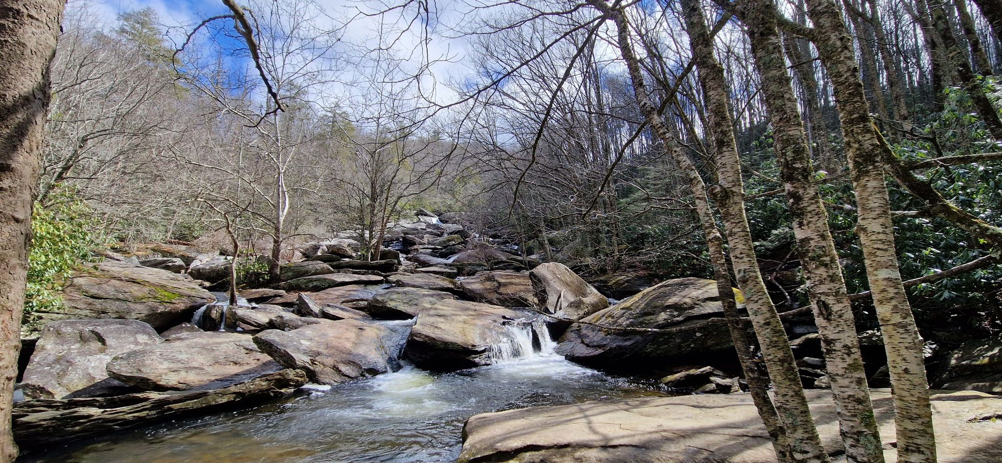 A rocky river flows through a forest with bare trees under a bright sky. - Boone Fork Trail