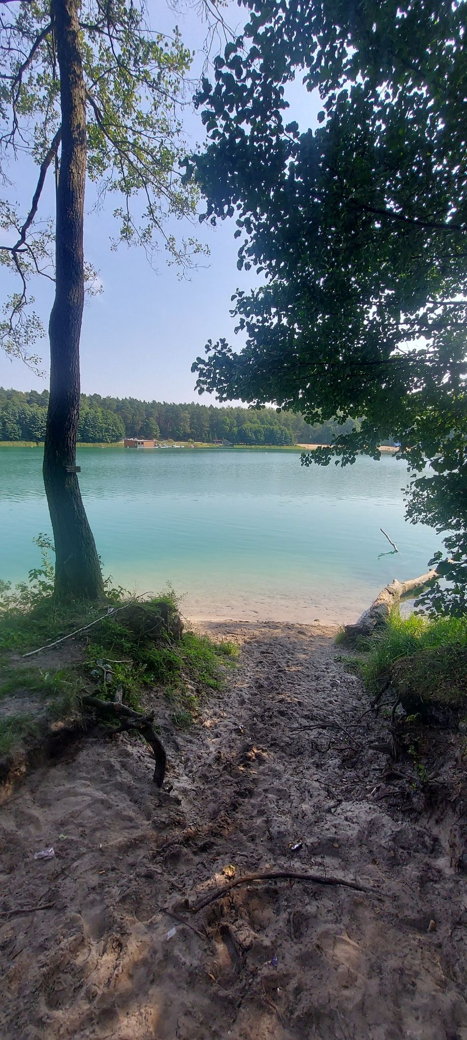 cypel płotki