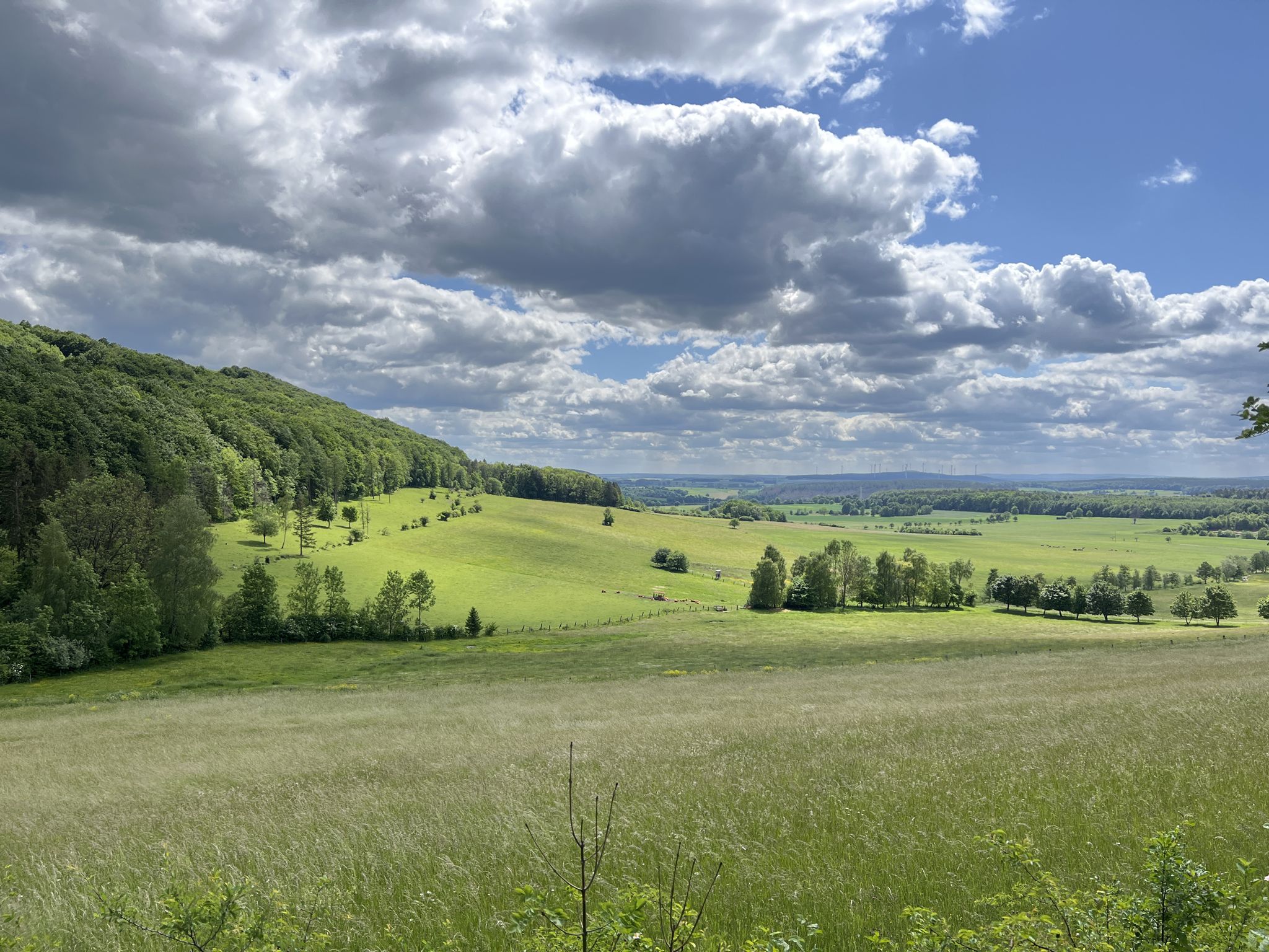 Weitblick