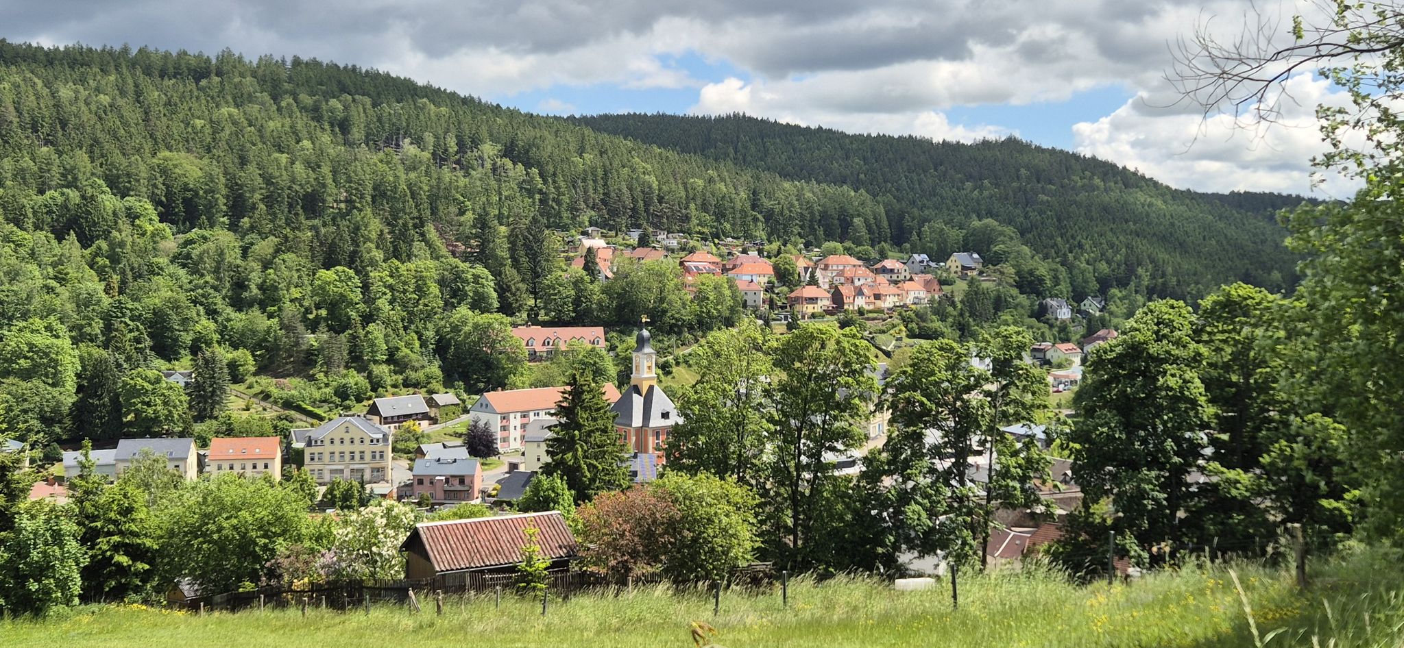 Blick auf Schmiedeberg