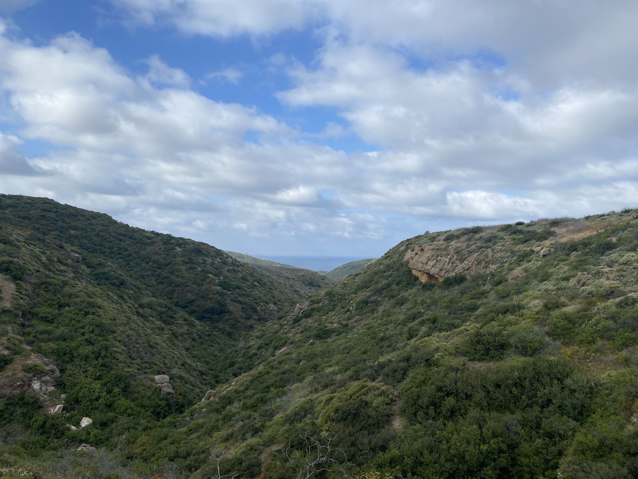 Lush green valley opening to a distant ocean under a partly cloudy sky. - Pacific Ridge, Ticketron, Deer Canyon, Red Tail and Bommer Ridge Loop