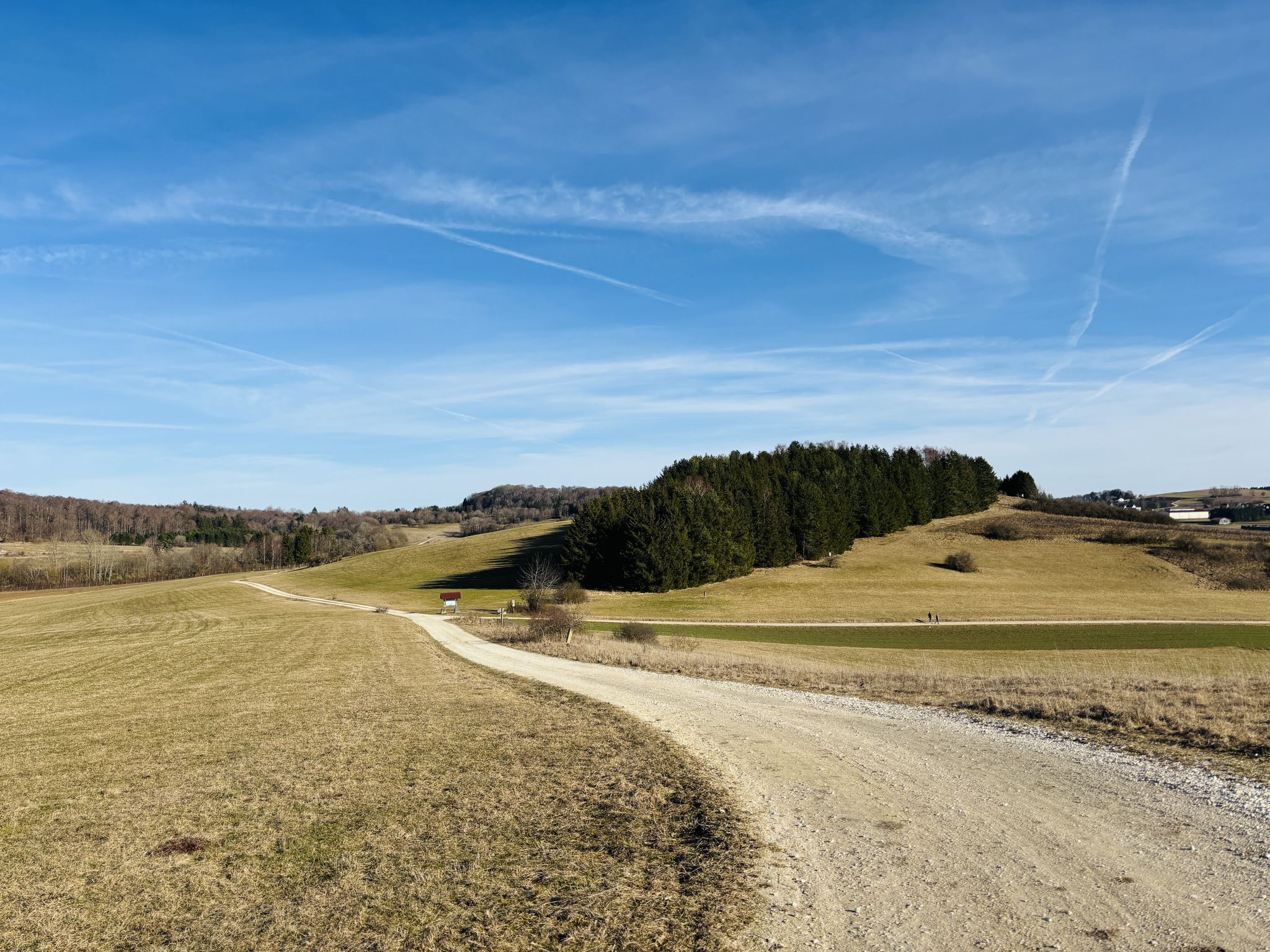 Typische Schafweide-Landschaft auf dem Übungsplatz Münsingen