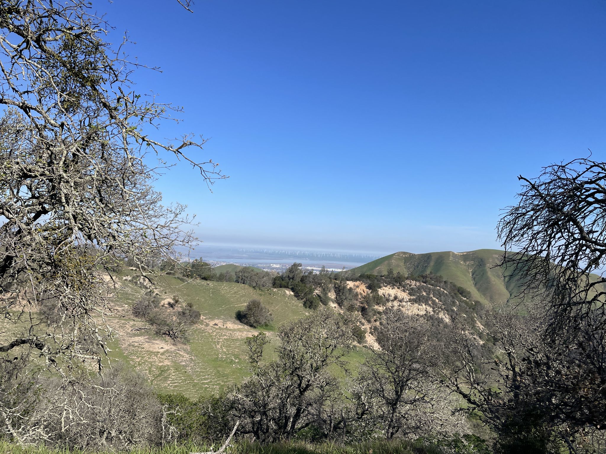 Hilly landscape with bare trees framing a distant hazy valley under blue sky. - Nortonville and Black Diamond Trail Loop
