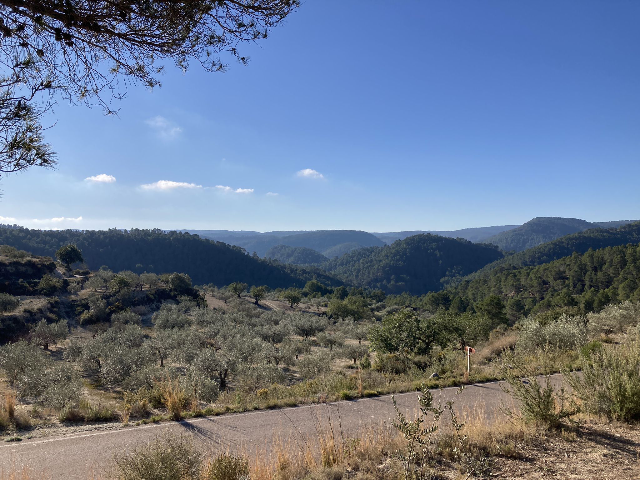 Vistas al macizo El Caroche