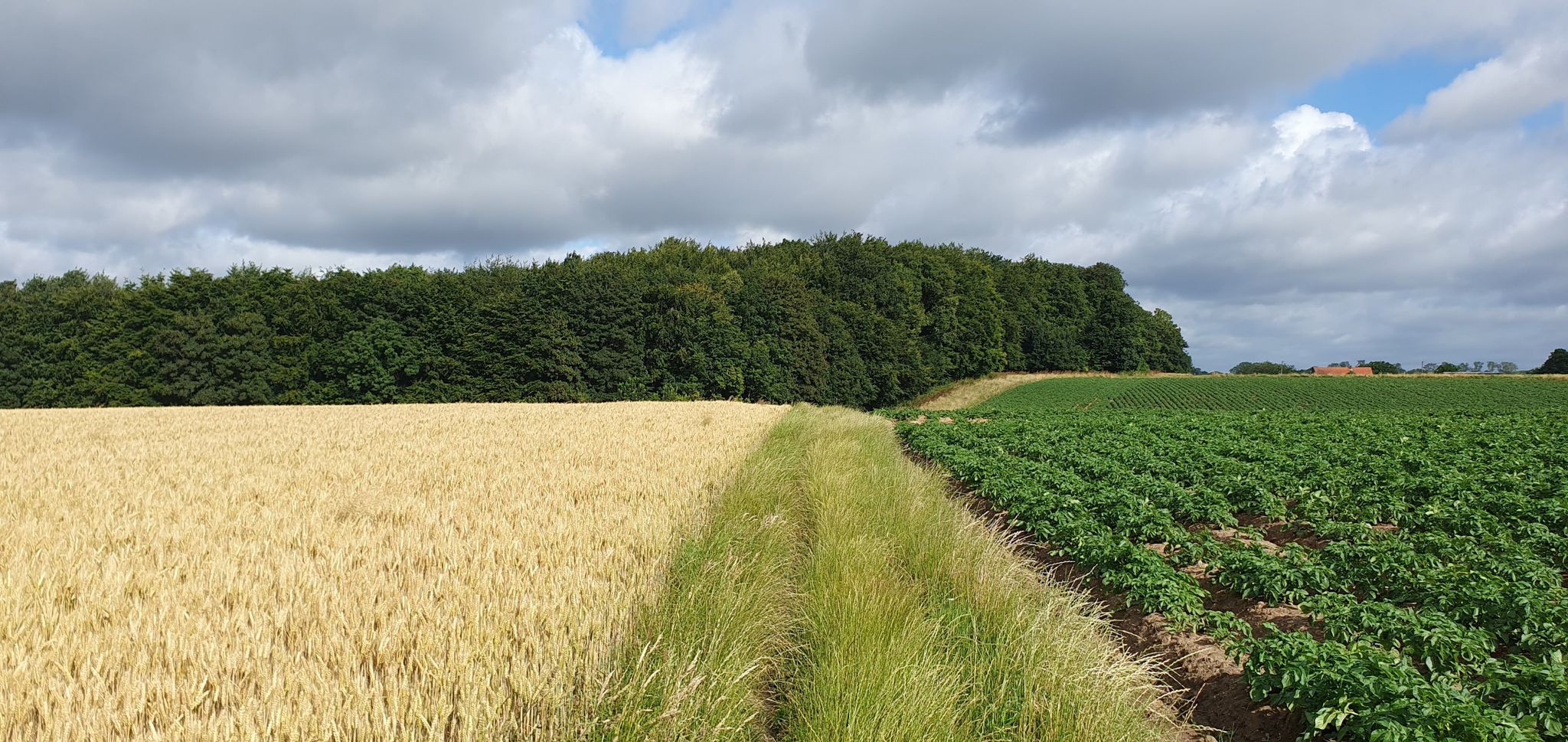 Bois saint Sépulcre