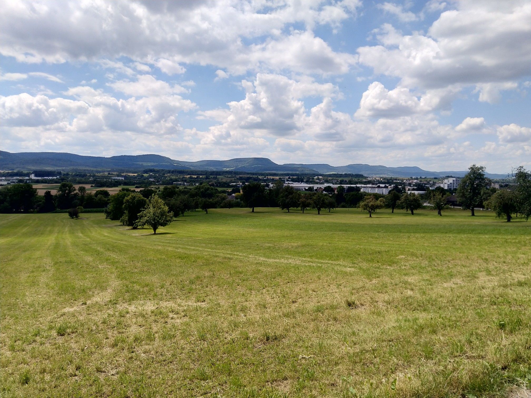 Blick zum Albtrauf bei Eislingen