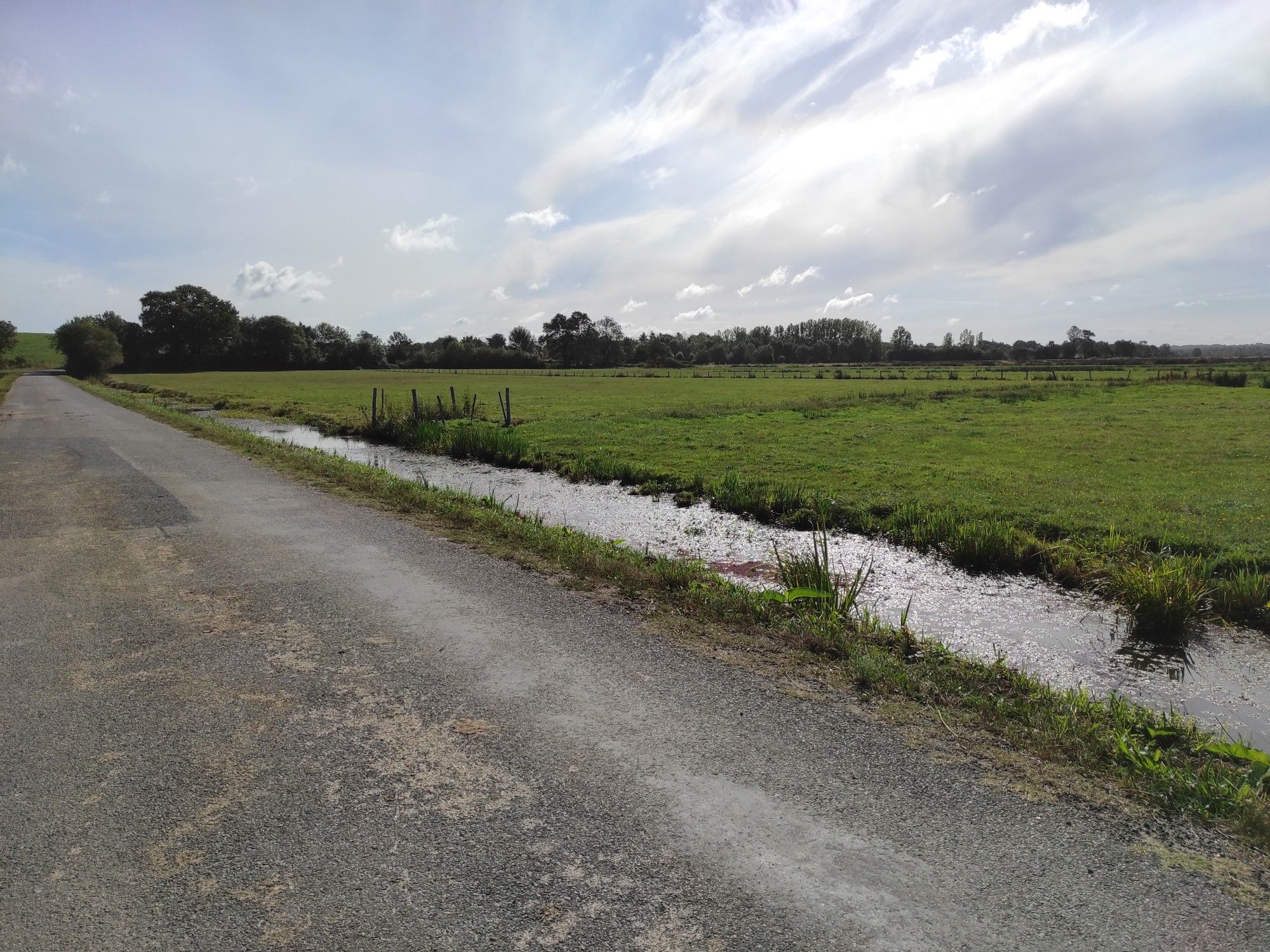 les Marais Frossay non loin de Sergogne